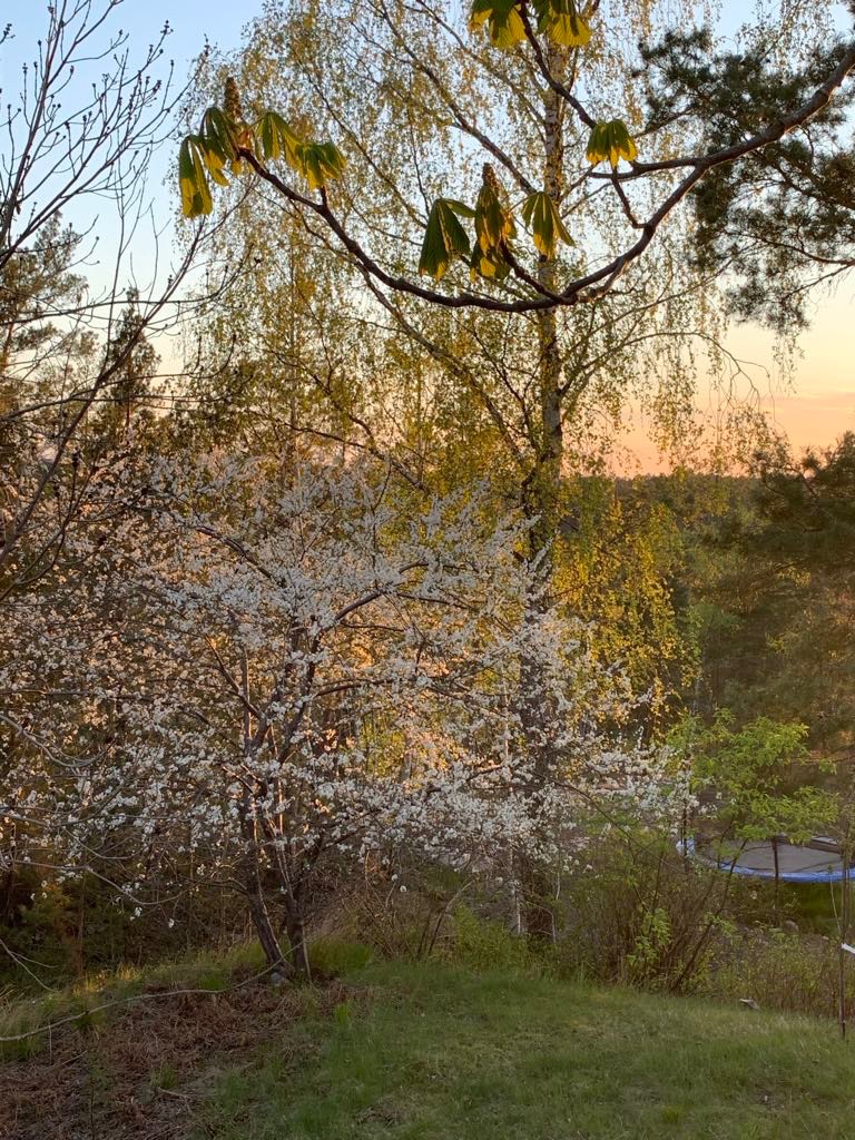 Bostadsbild från Enbacken 17, Såld i Eriksvik, Nacka