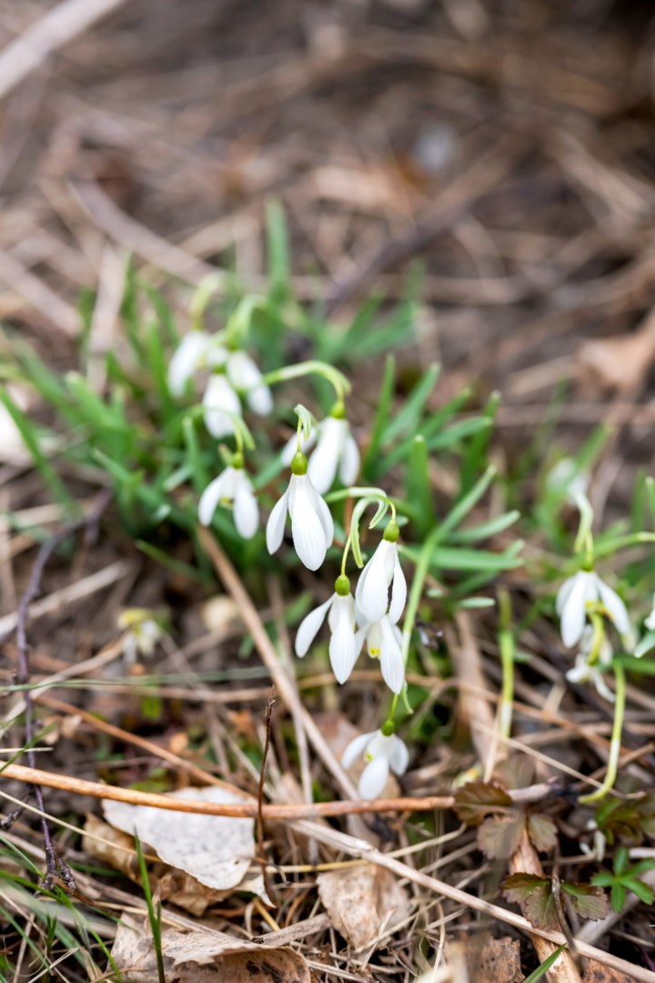 Bostadsbild från Örvägen 5, Såld i Örsundsbro, Enköping