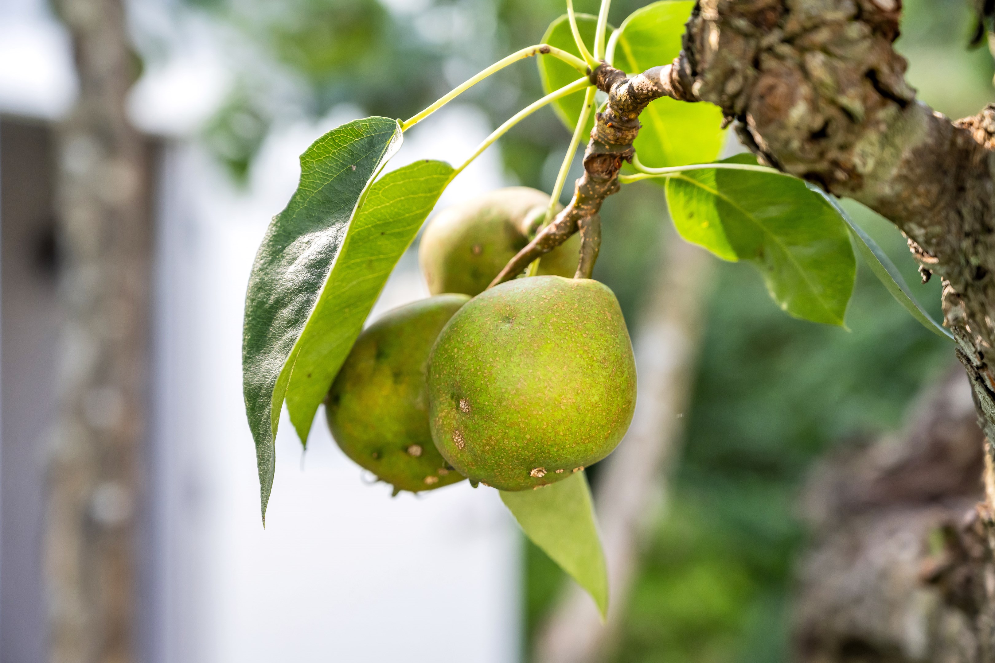 Bostadsbild från Hedensbergsvägen 26B, Såld i Berthåga, Uppsala