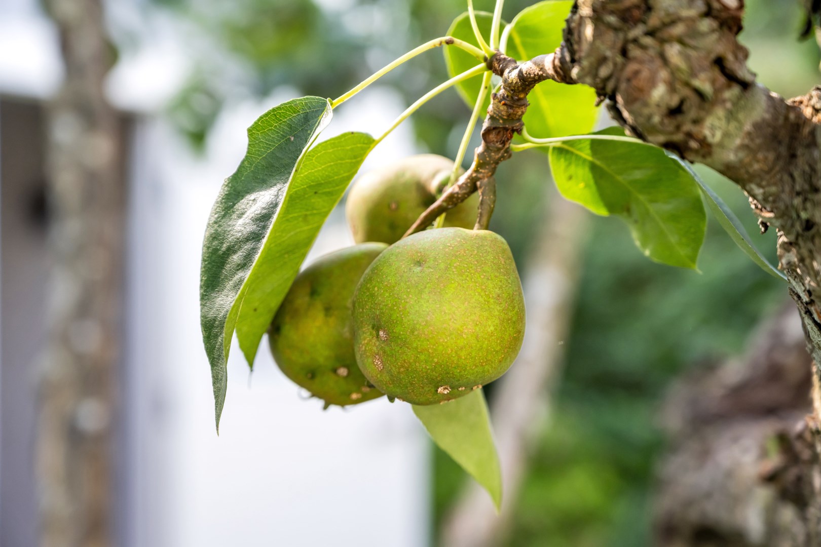 Bostadsbild från Hedensbergsvägen 26B, Såld i Berthåga, Uppsala