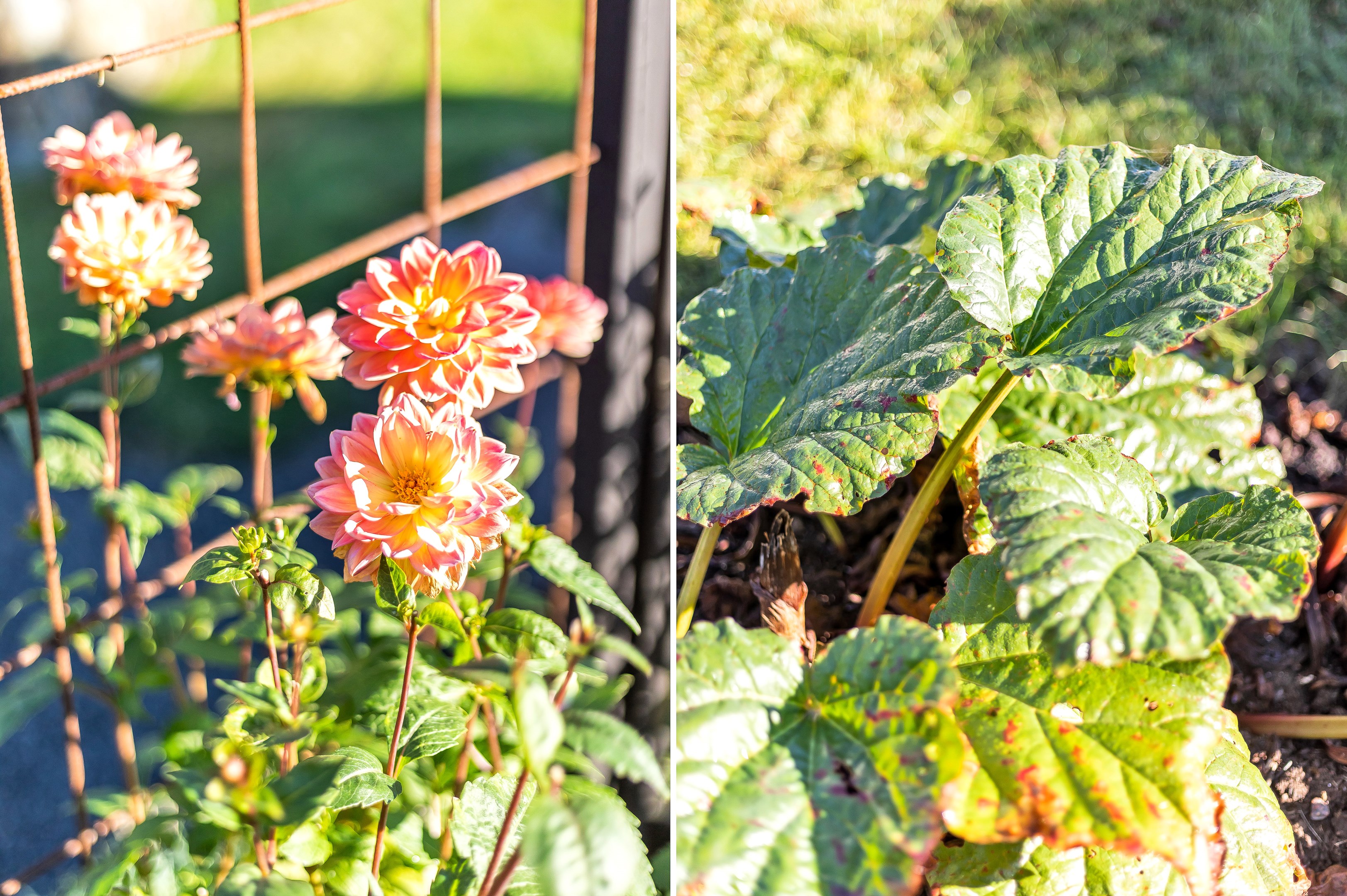 Bostadsbild från Balingsta-Kumla 11, Såld i Balingsta, Uppsala