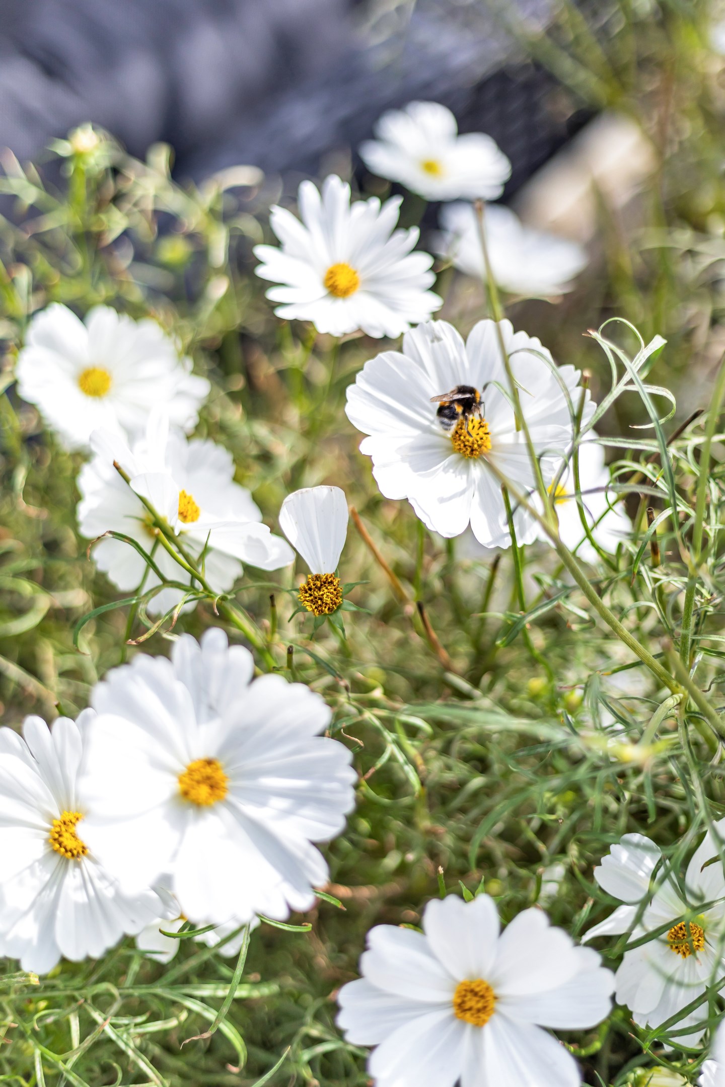 Bostadsbild från Vildrosvägen 7, Såld i Örsundsbro, Enköping