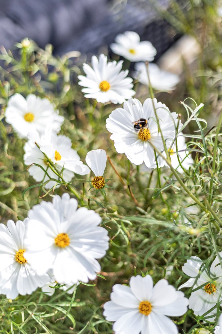Bostadsbild från Vildrosvägen 7, Såld i Örsundsbro, Enköping