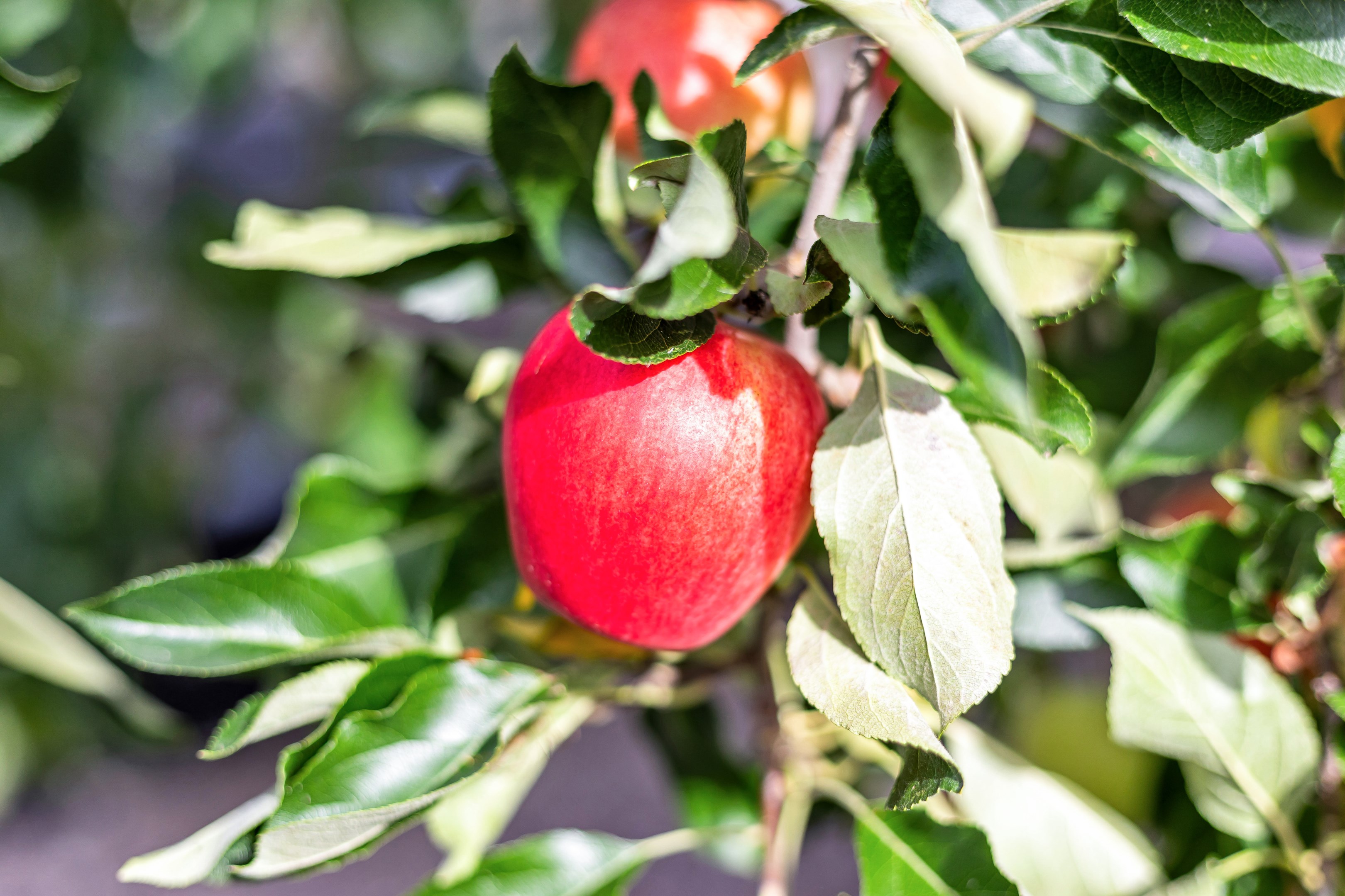 Bostadsbild från Vildrosvägen 7, Såld i Örsundsbro, Enköping