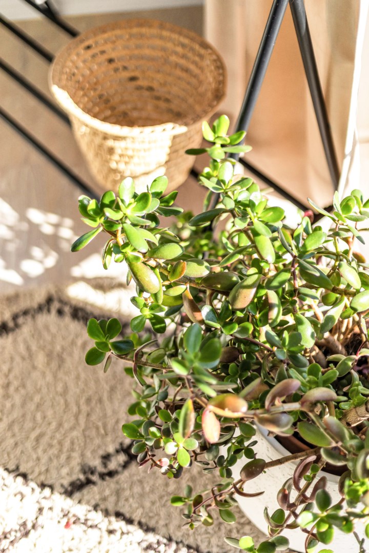 Bostadsbild från Vildrosvägen 7, Såld i Örsundsbro, Enköping