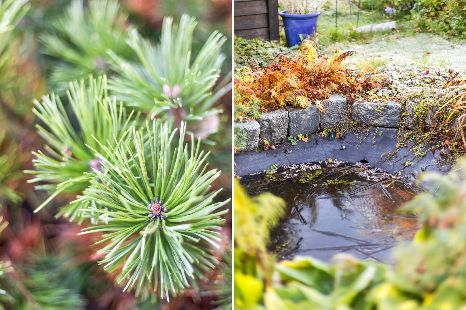 Bostadsbild från Elin Wägnersgatan 4, Såld i Nyby, Uppsala