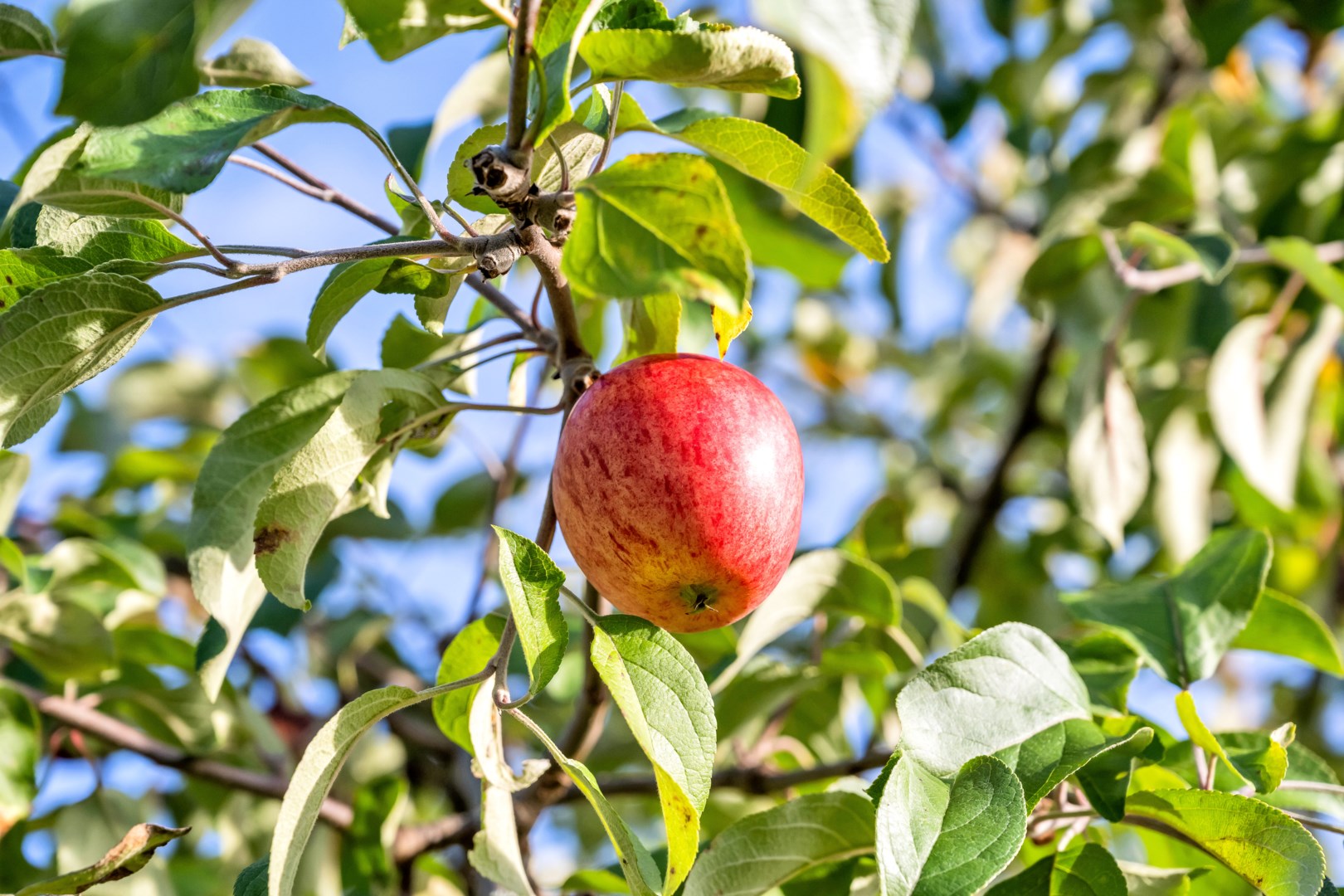 Bostadsbild från Södra Hökhuvudsvägen 3, Såld i Gimo, Östhammar
