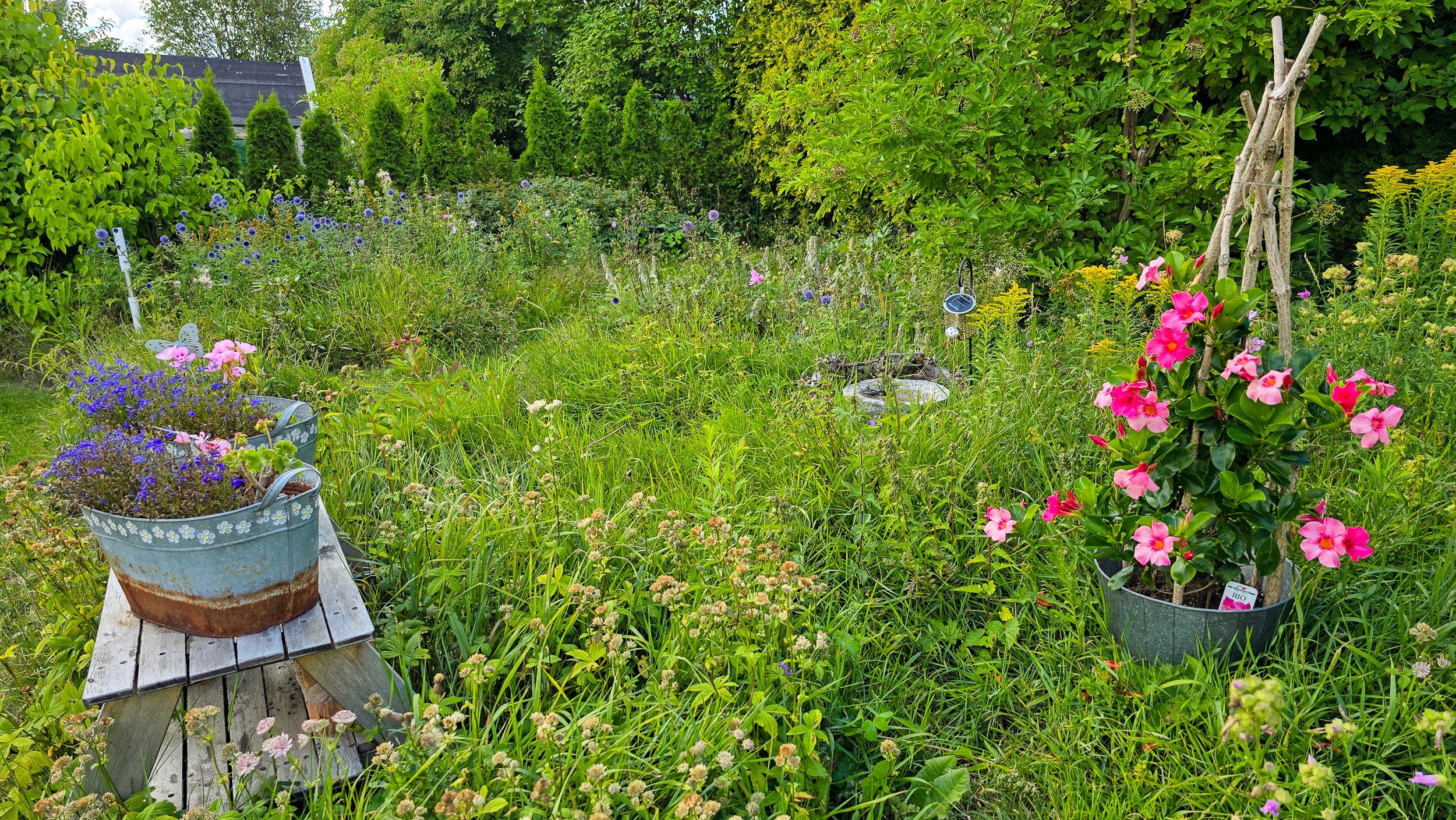 Bostadsbild från Eldhusgatan 3, Såld i Norra Vallby, Västerås