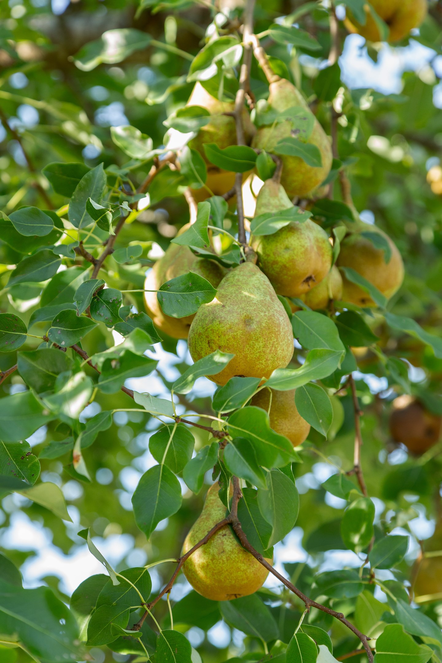 Bostadsbild från Ringleksvägen 21, Såld i Eriksvik, Nacka