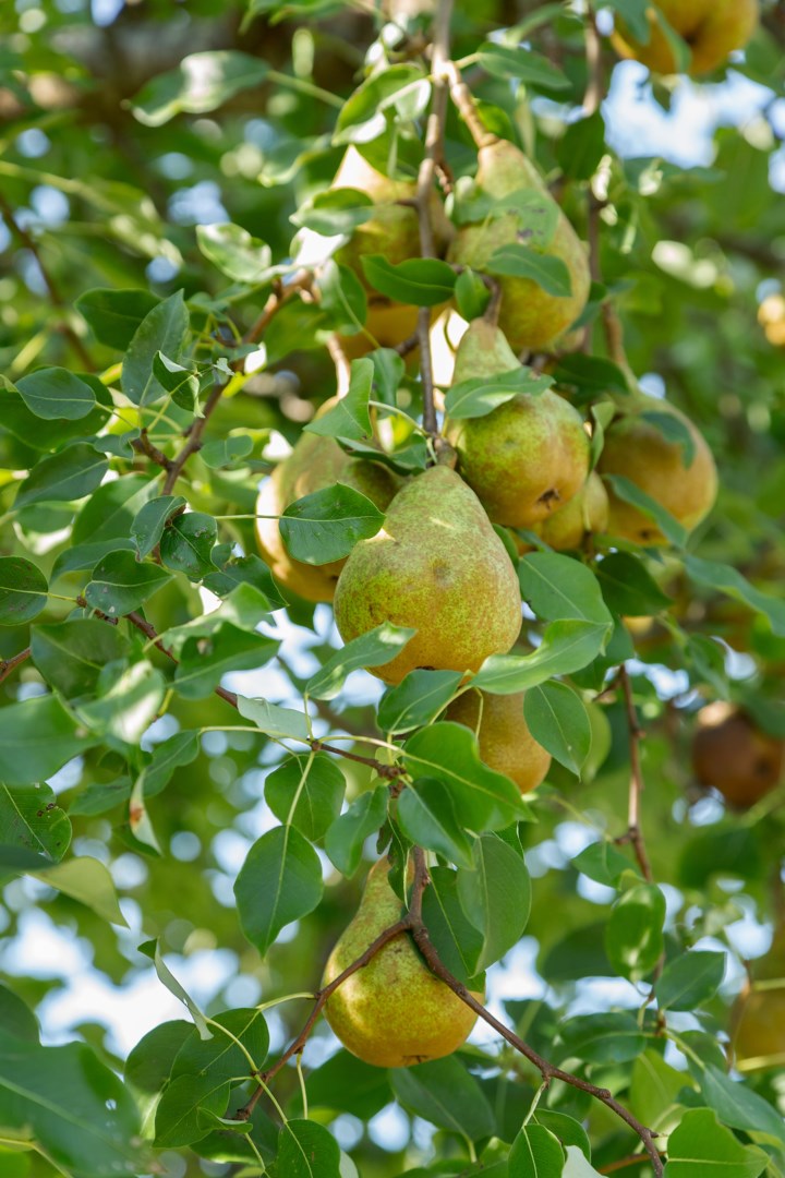 Bostadsbild från Ringleksvägen 21, Såld i Eriksvik, Nacka