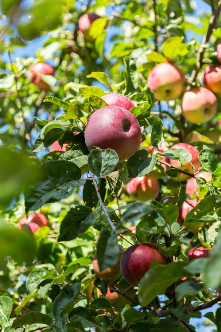 Bostadsbild från Ringleksvägen 21, Såld i Eriksvik, Nacka