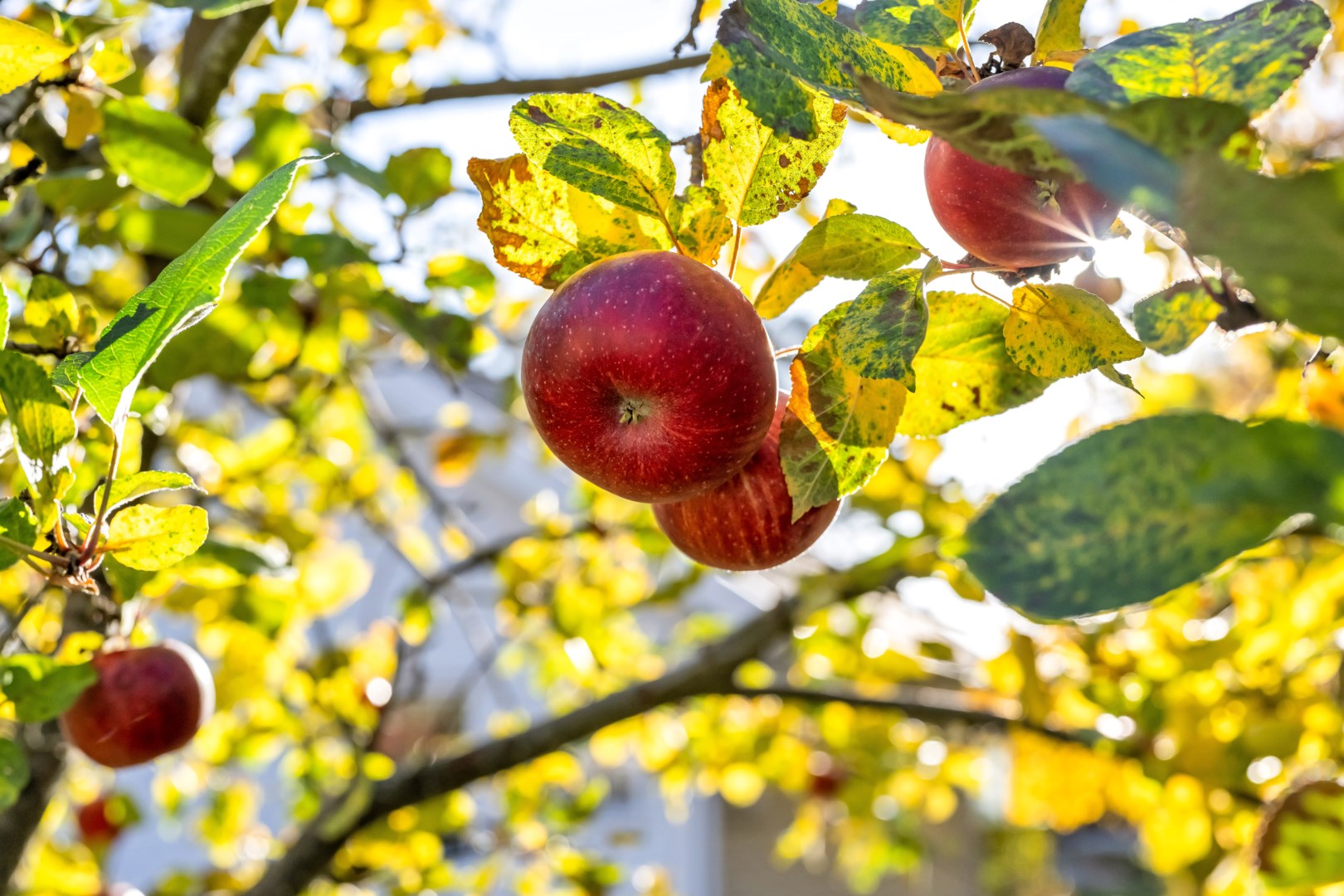 Bostadsbild från Vreta strandväg 52, Såld i Vreta, Uppsala