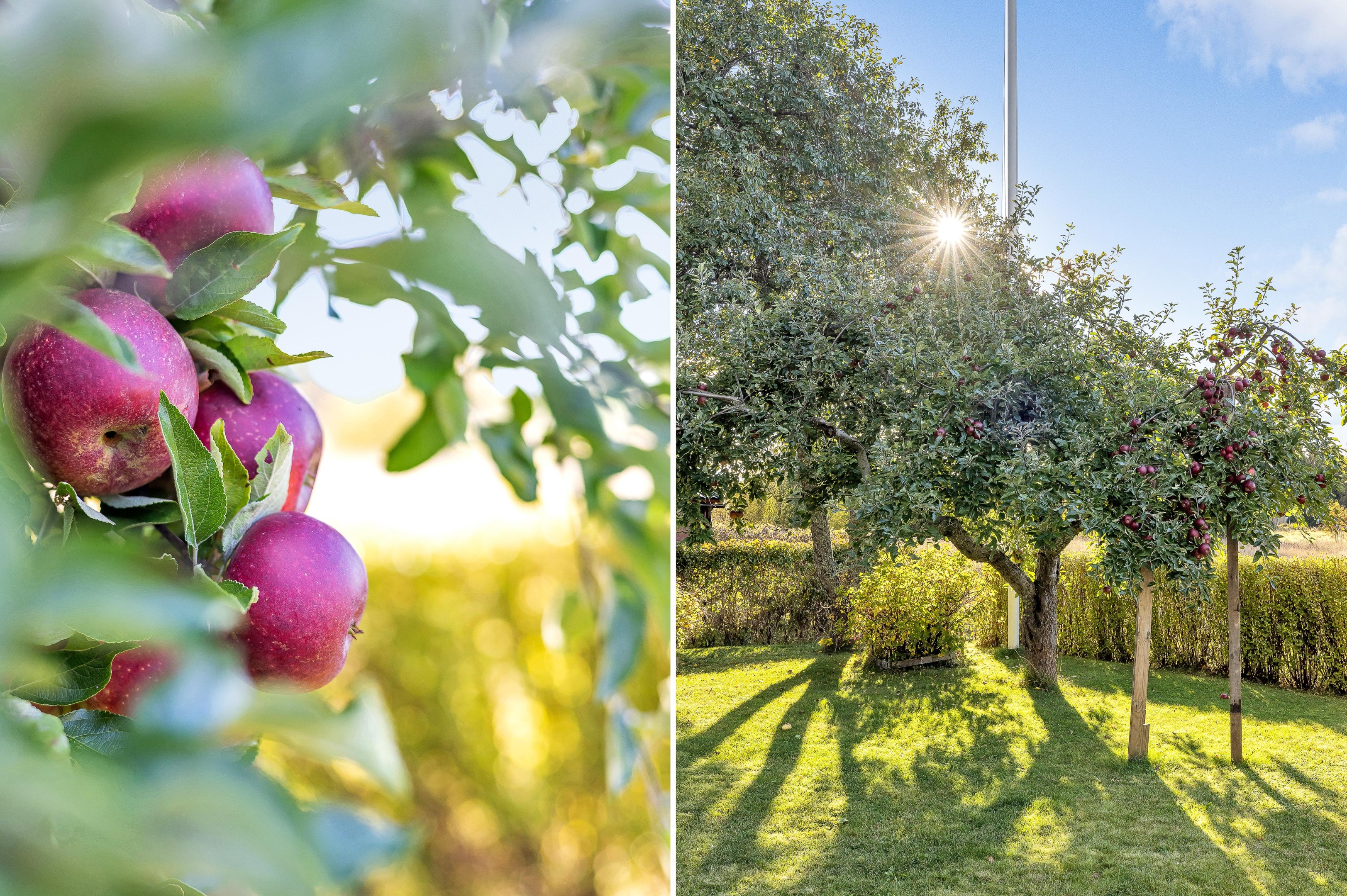 Bostadsbild från Fjärdingsvägen 19, Såld i Bälinge, Uppsala