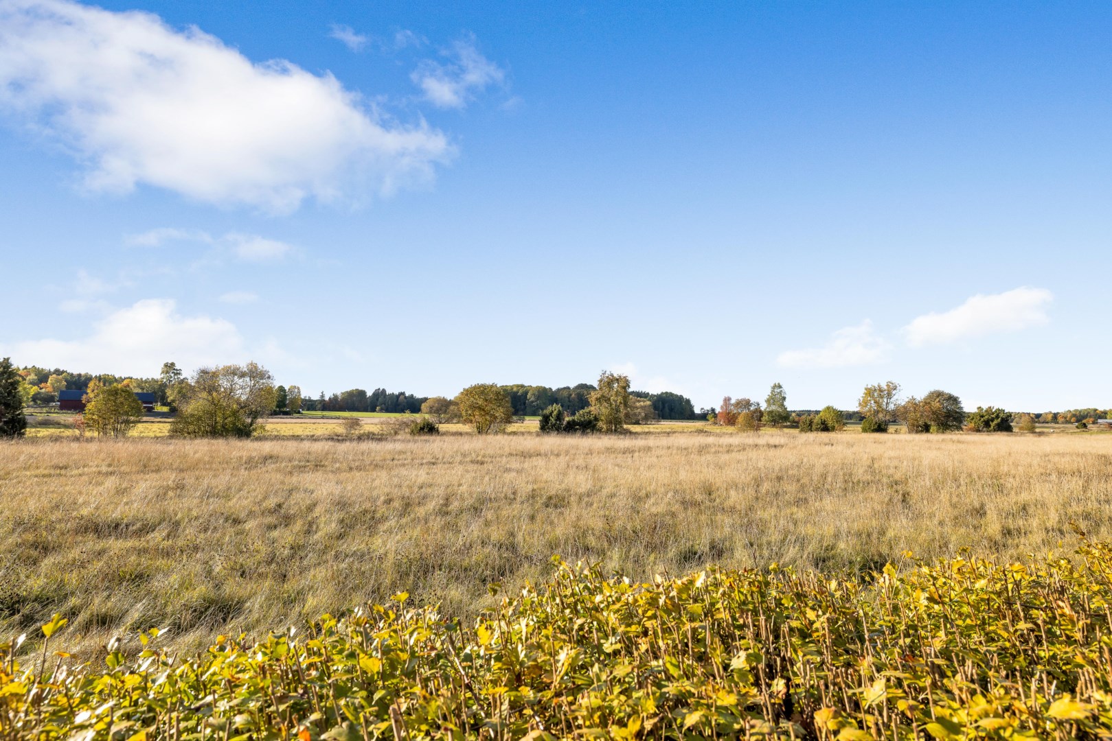Bostadsbild från Fjärdingsvägen 19, Såld i Bälinge, Uppsala