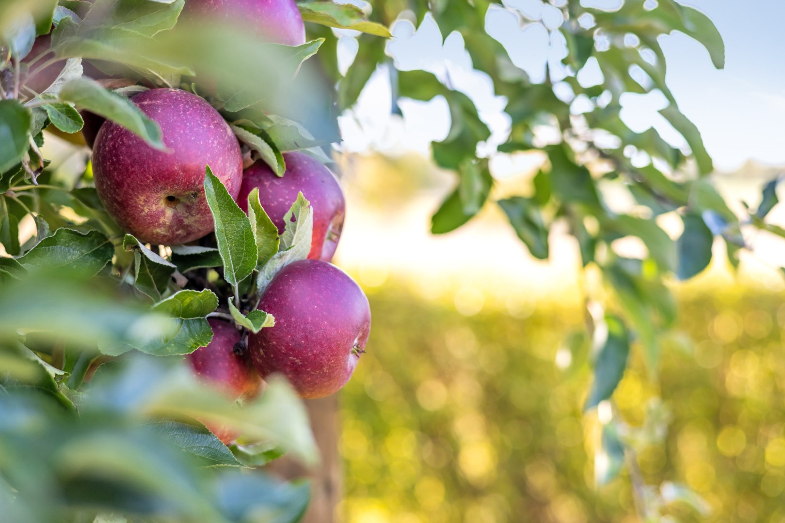 Bostadsbild från Fjärdingsvägen 19, Såld i Bälinge, Uppsala