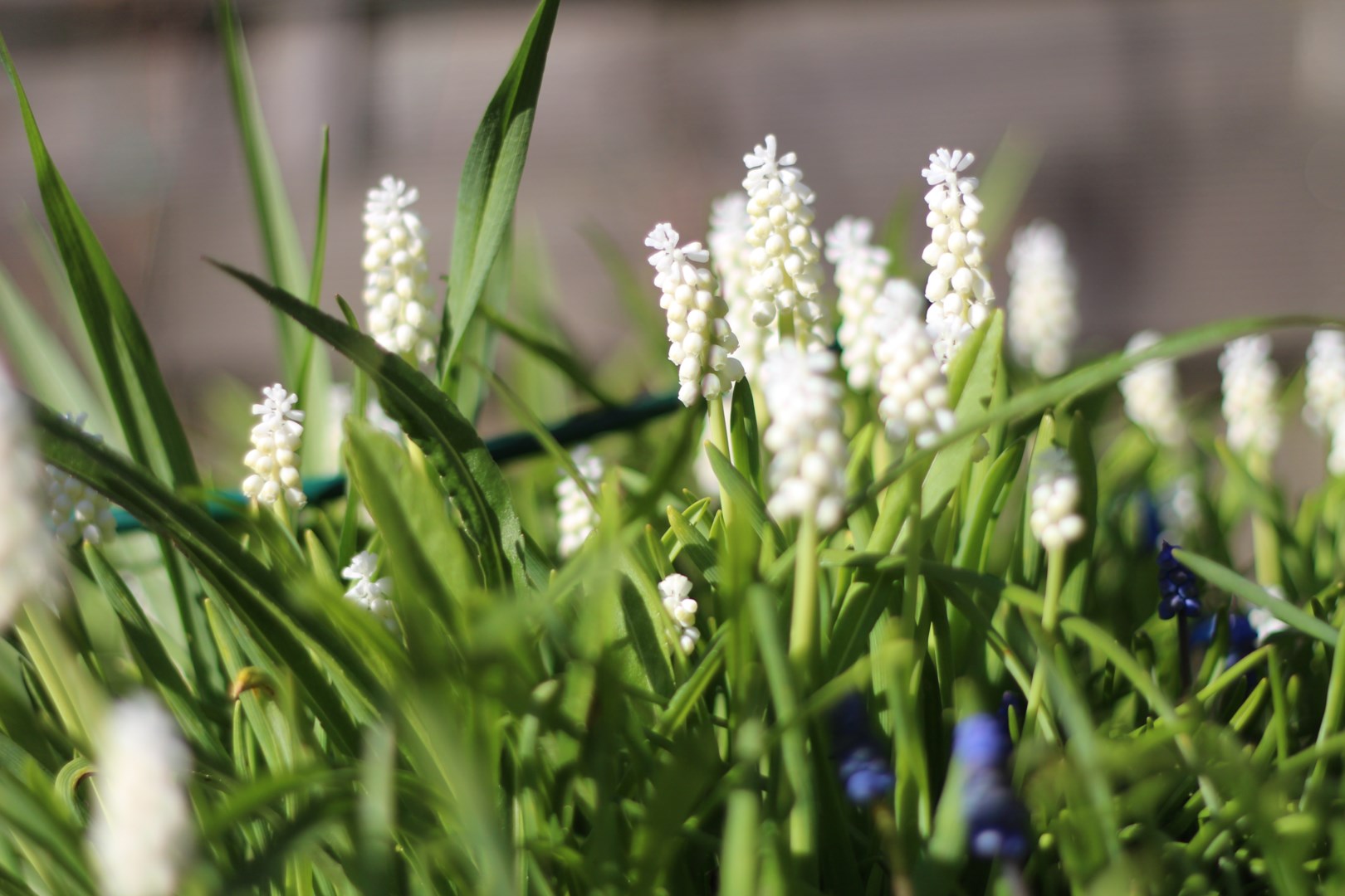Bostadsbild från Limvägen 1, Såld i Storvreta, Uppsala