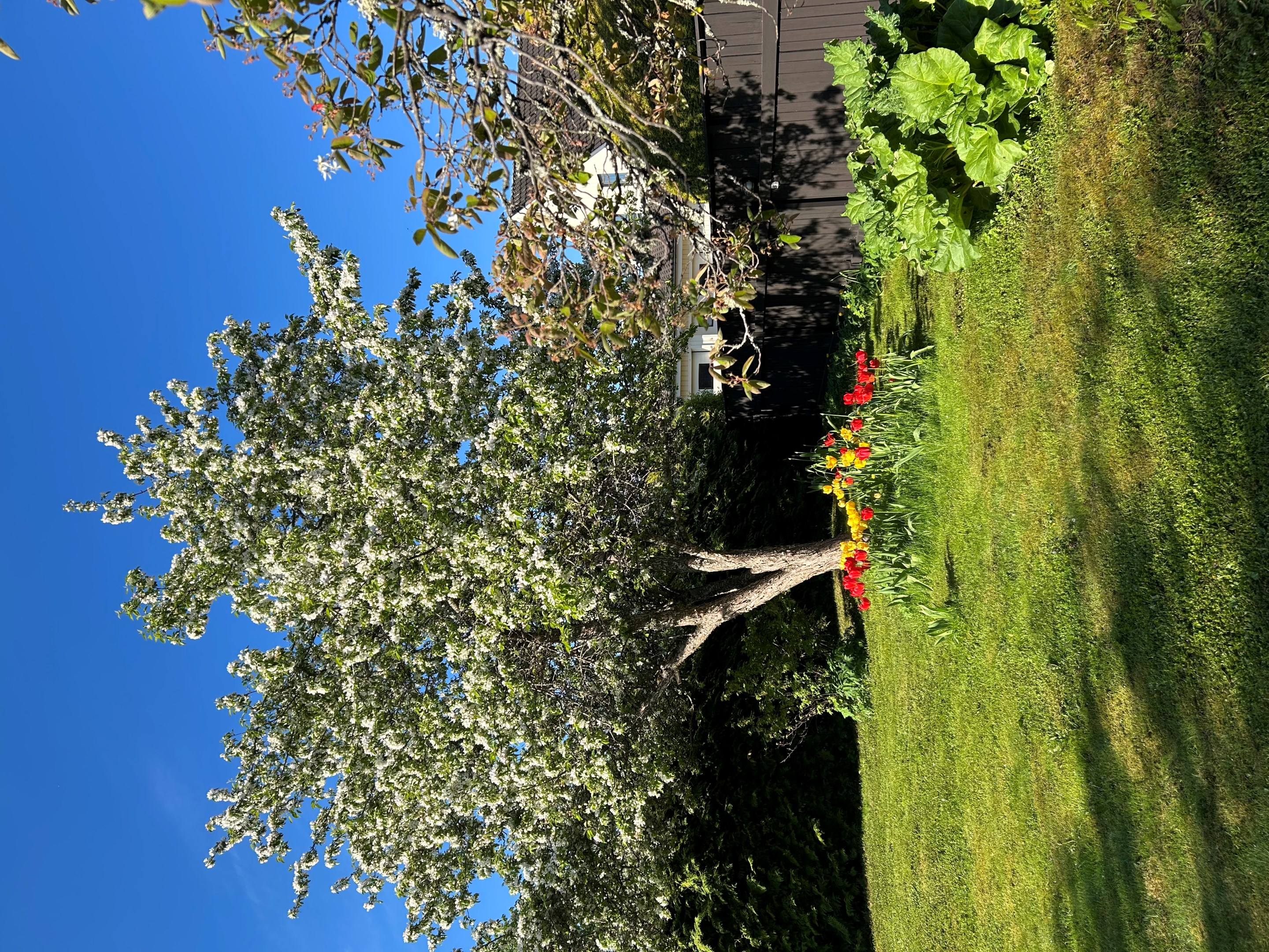 Bostadsbild från Backvägen 6 B, Till salu i Sunnersta, Uppsala