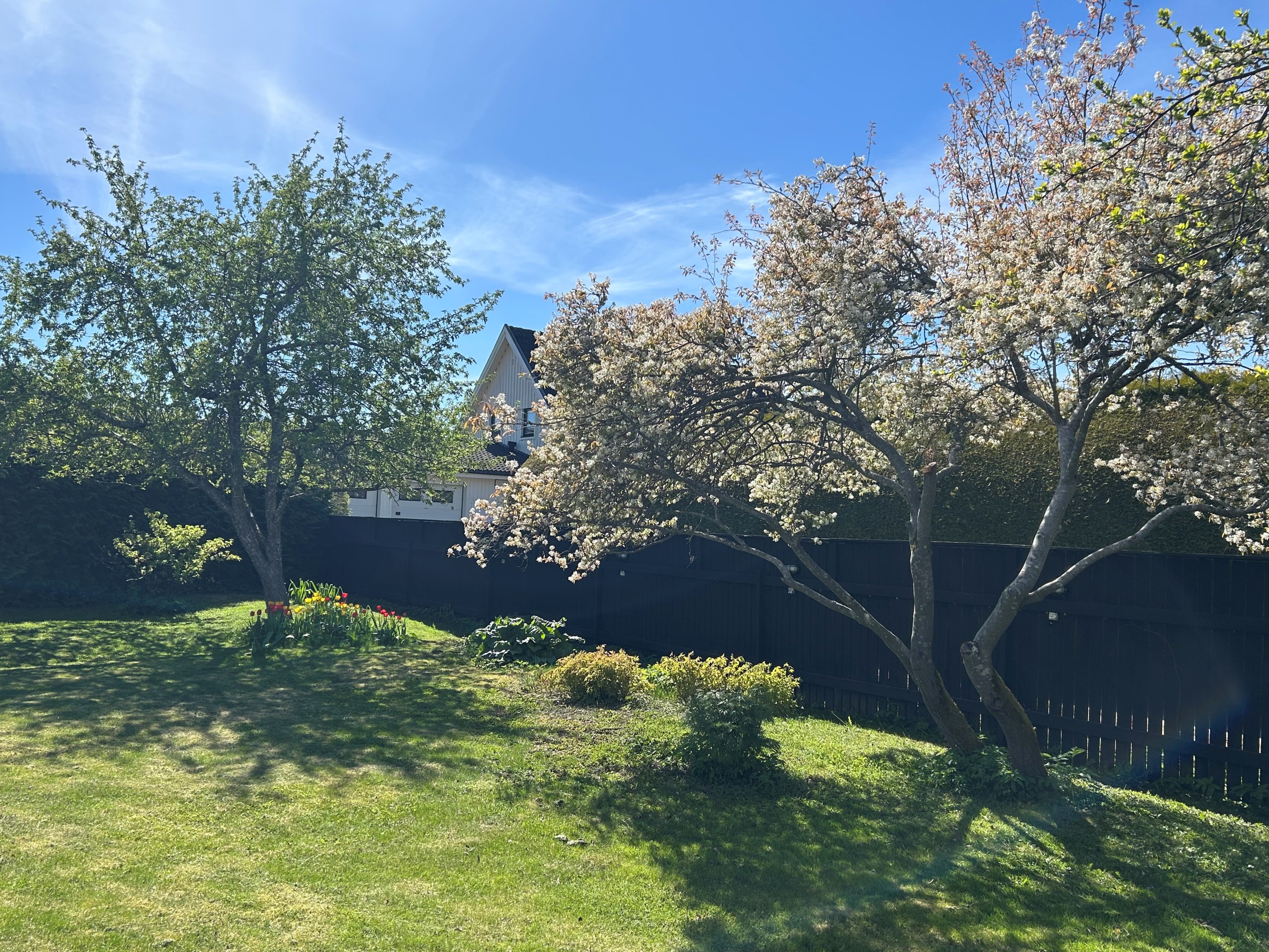 Bostadsbild från Backvägen 6 B, Till salu i Sunnersta, Uppsala