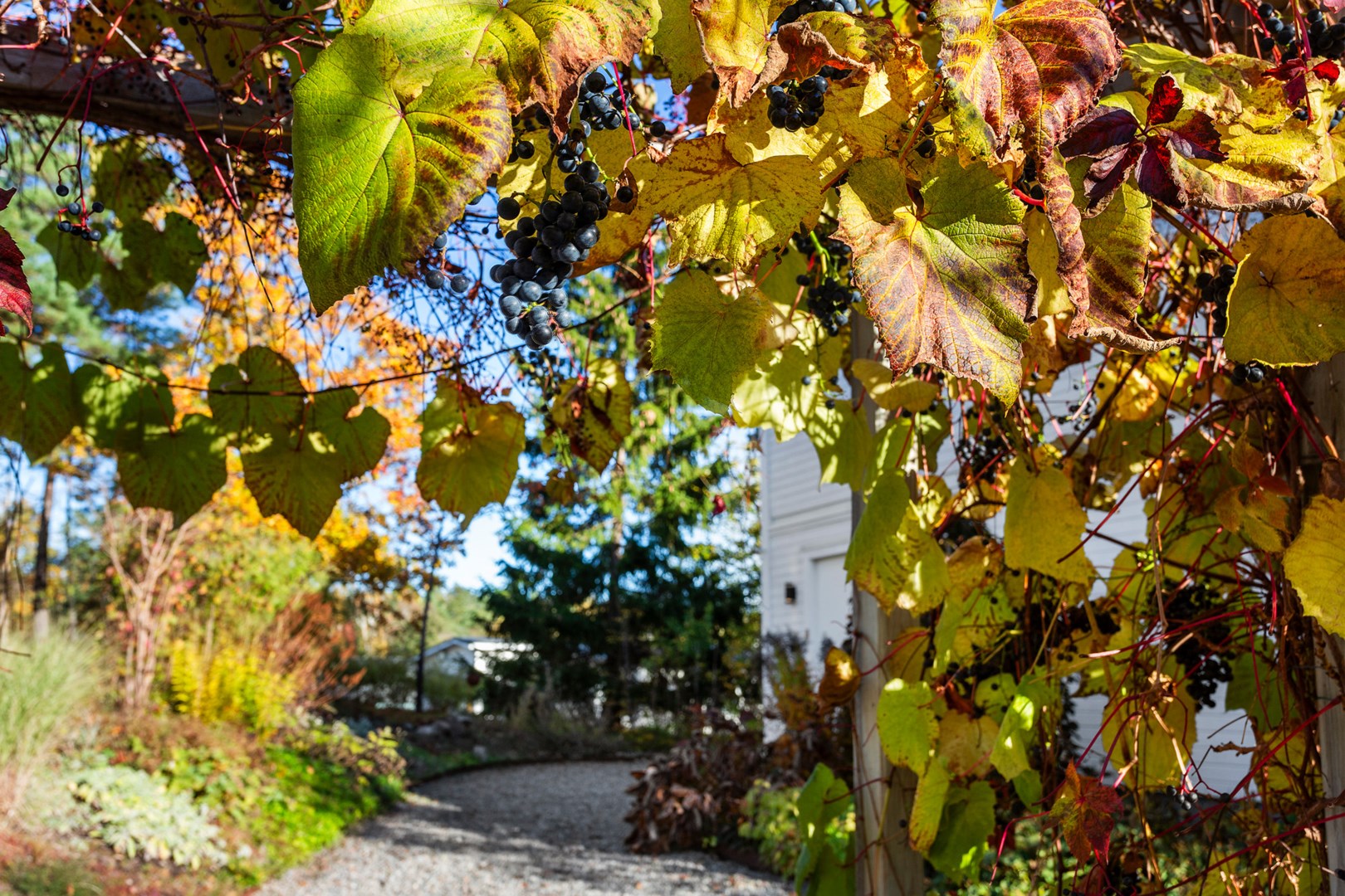 Bostadsbild från Björnbergsvägen 21A, Såld i Kummelnäs - Björnberget, Nacka