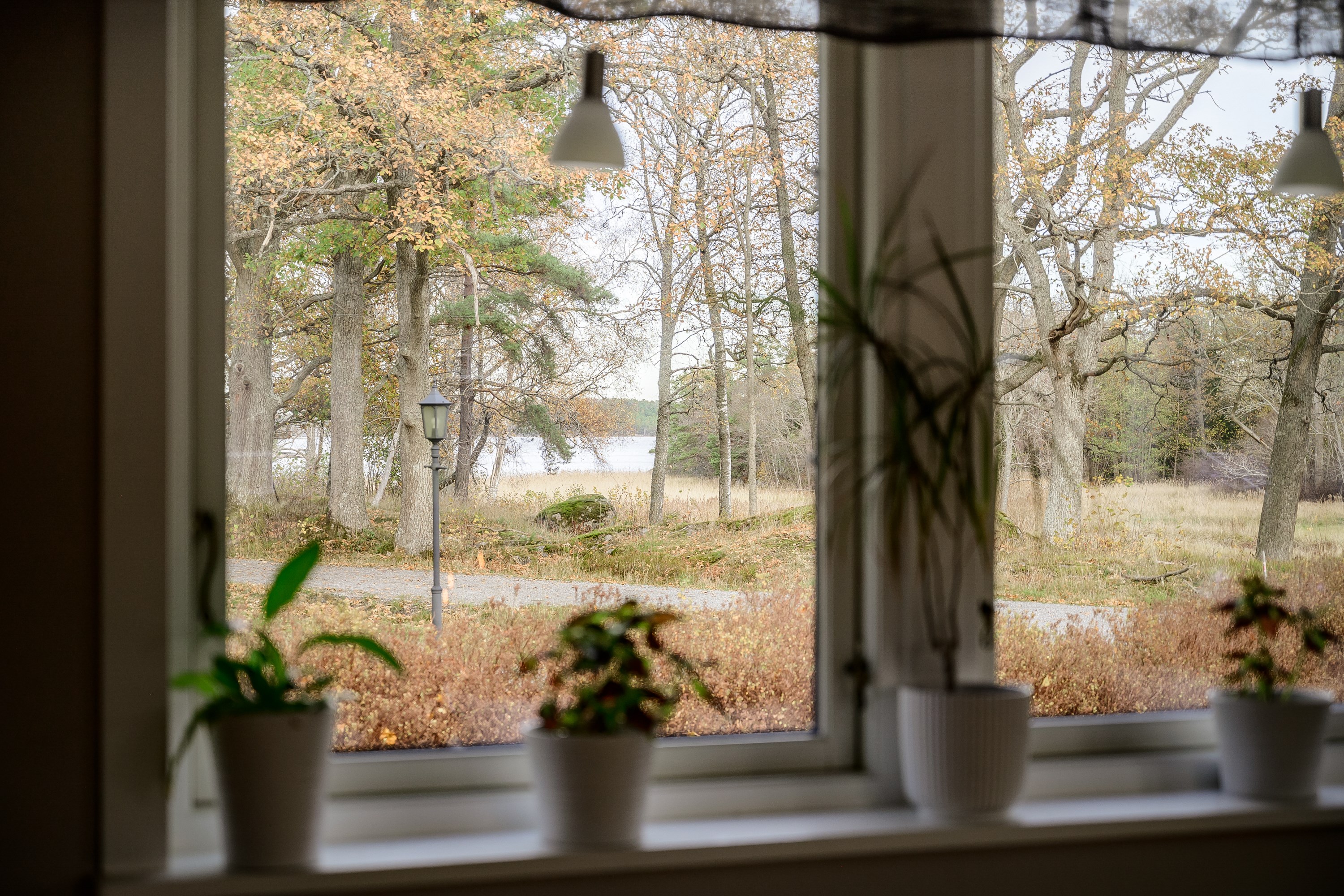 Utsikt mot Simpvikens glittrande vattenspegel