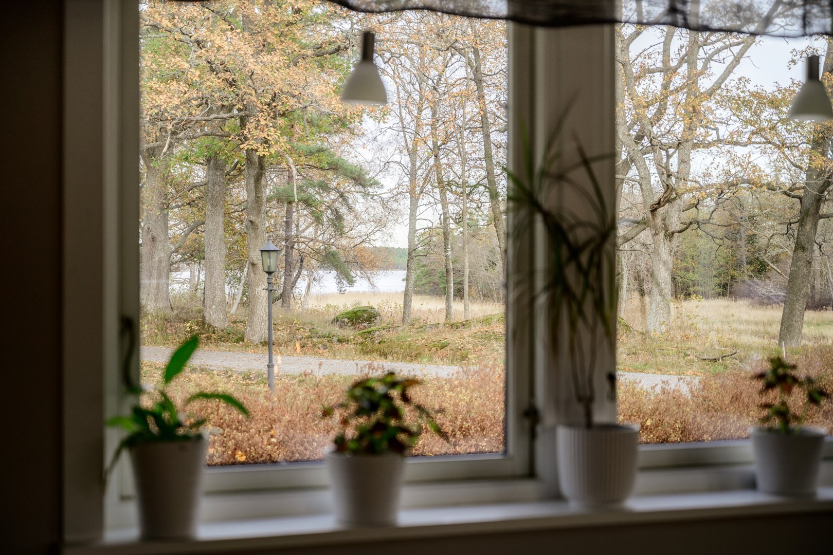 Utsikt mot Simpvikens glittrande vattenspegel