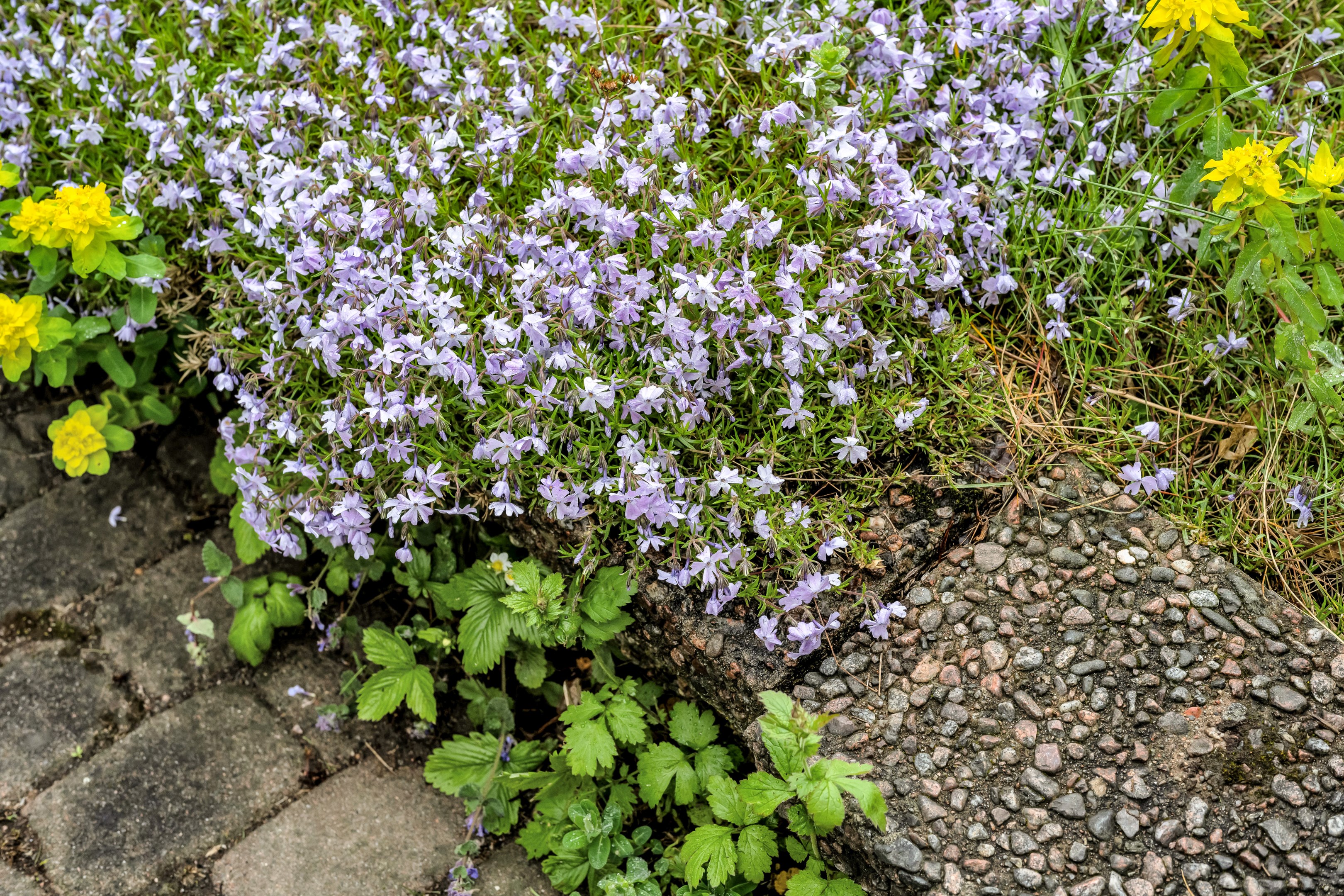 Bostadsbild från Robertsvägen 1, Såld i Berthåga, Uppsala