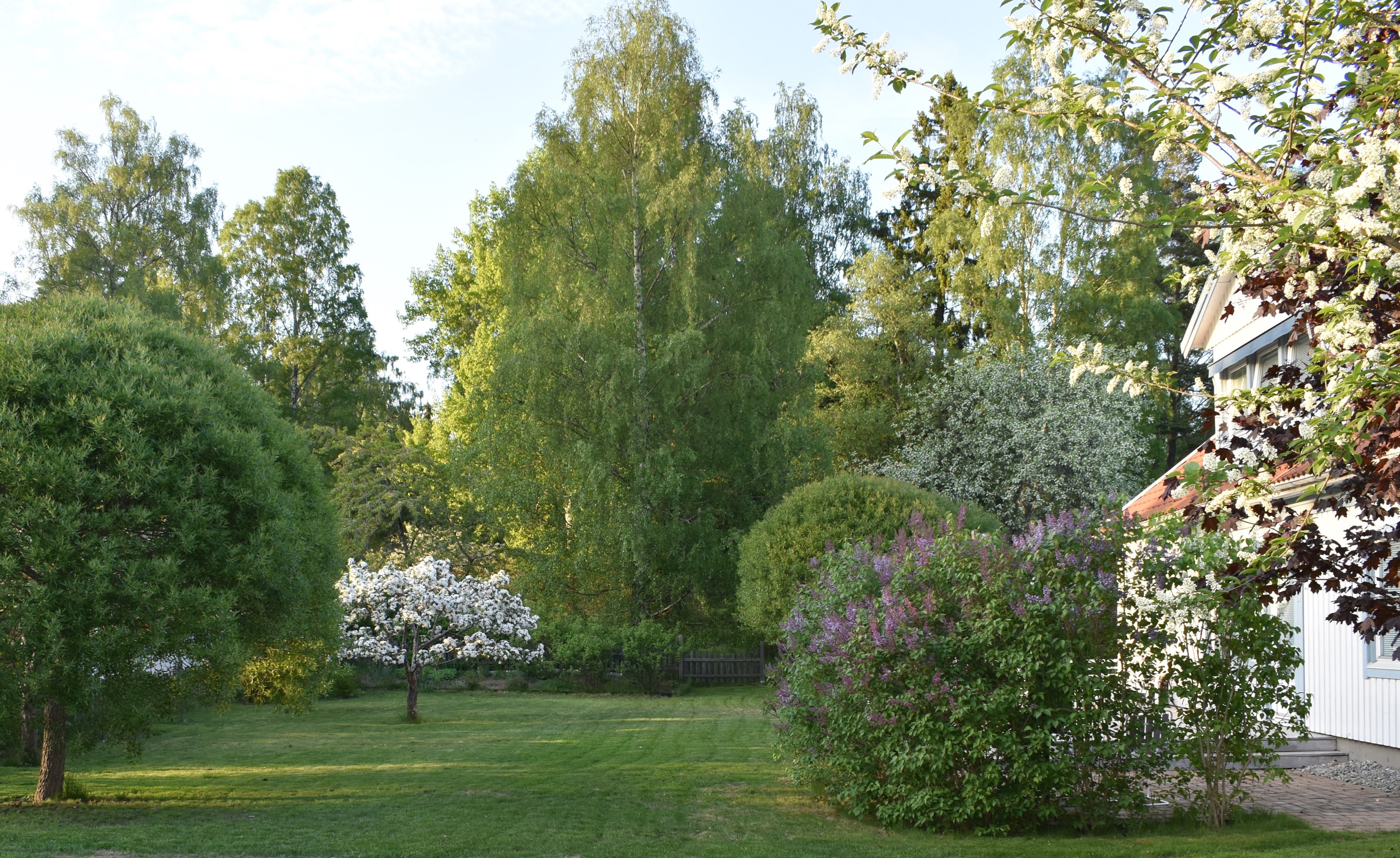 Ägarens egna sommarbild