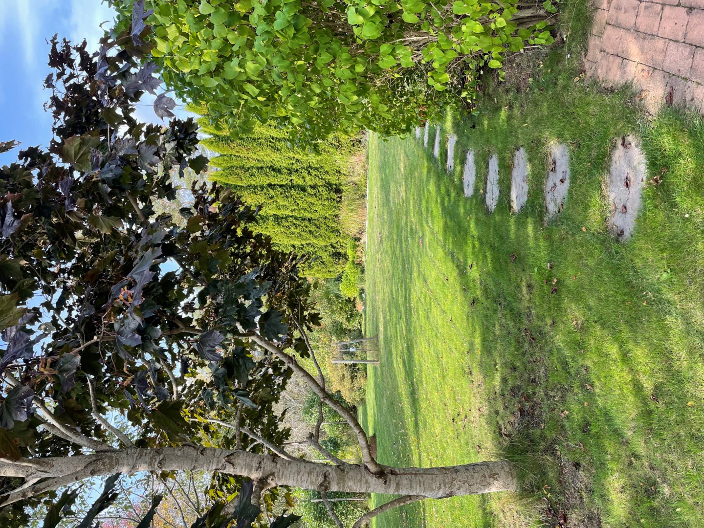 Ägarens egna sommarbild