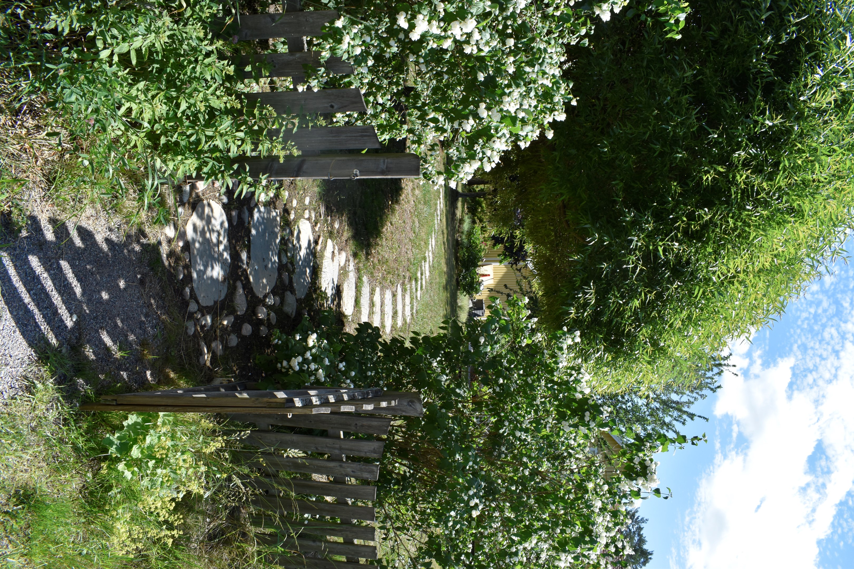 Ägarens egna sommarbild