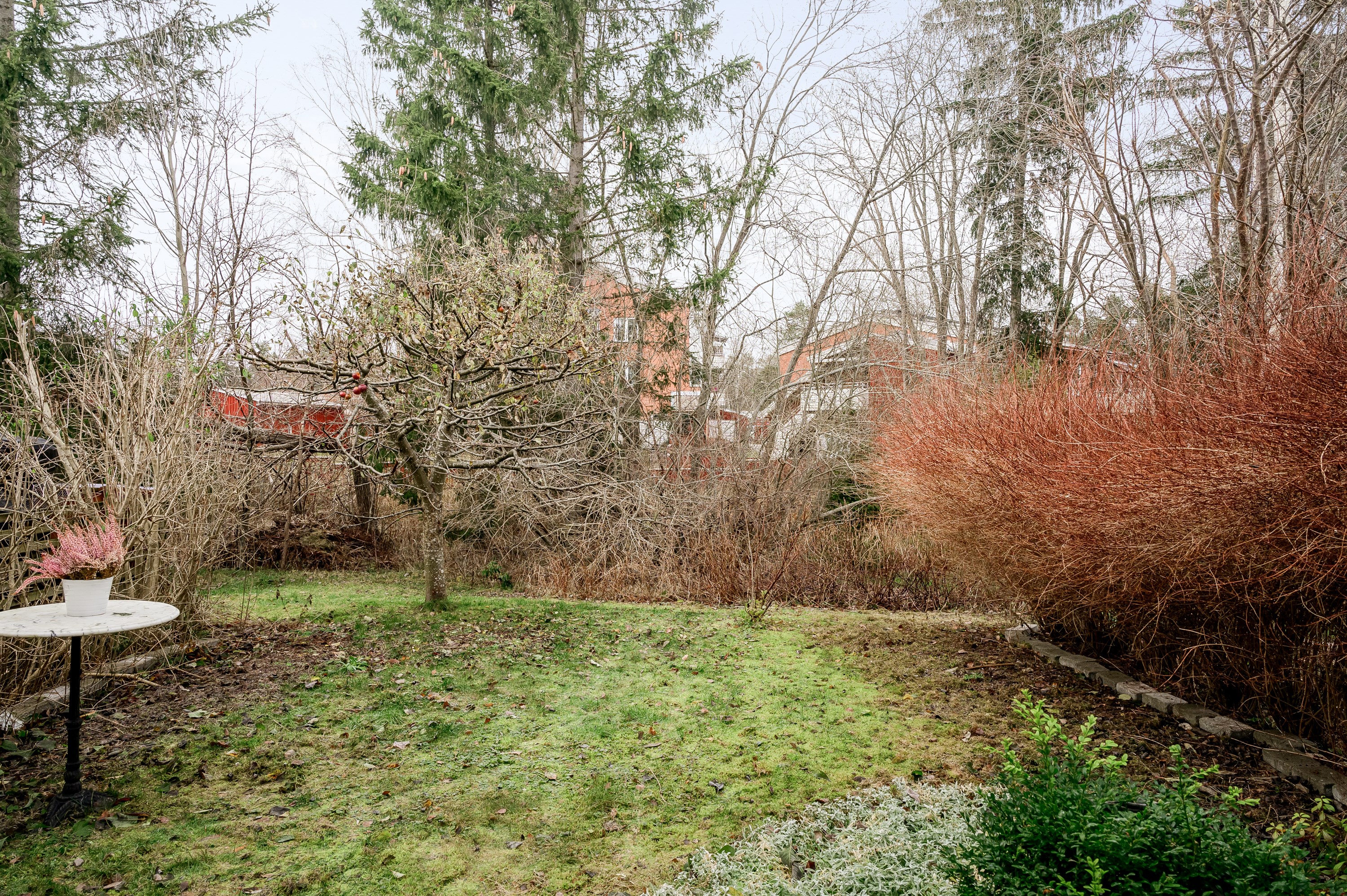 Vy över tomten på husets baksida dit morgon och förmiddagssolen når.