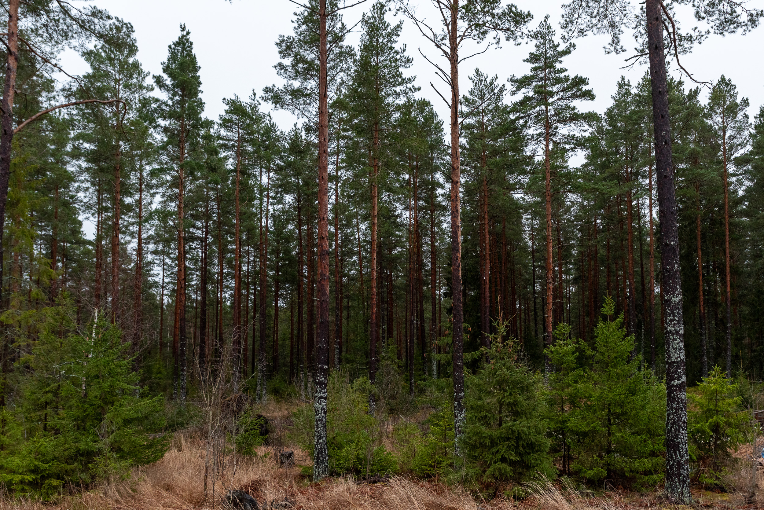 Bostadsbild från Östanbro 25, Såld i Östanbro, Västerås