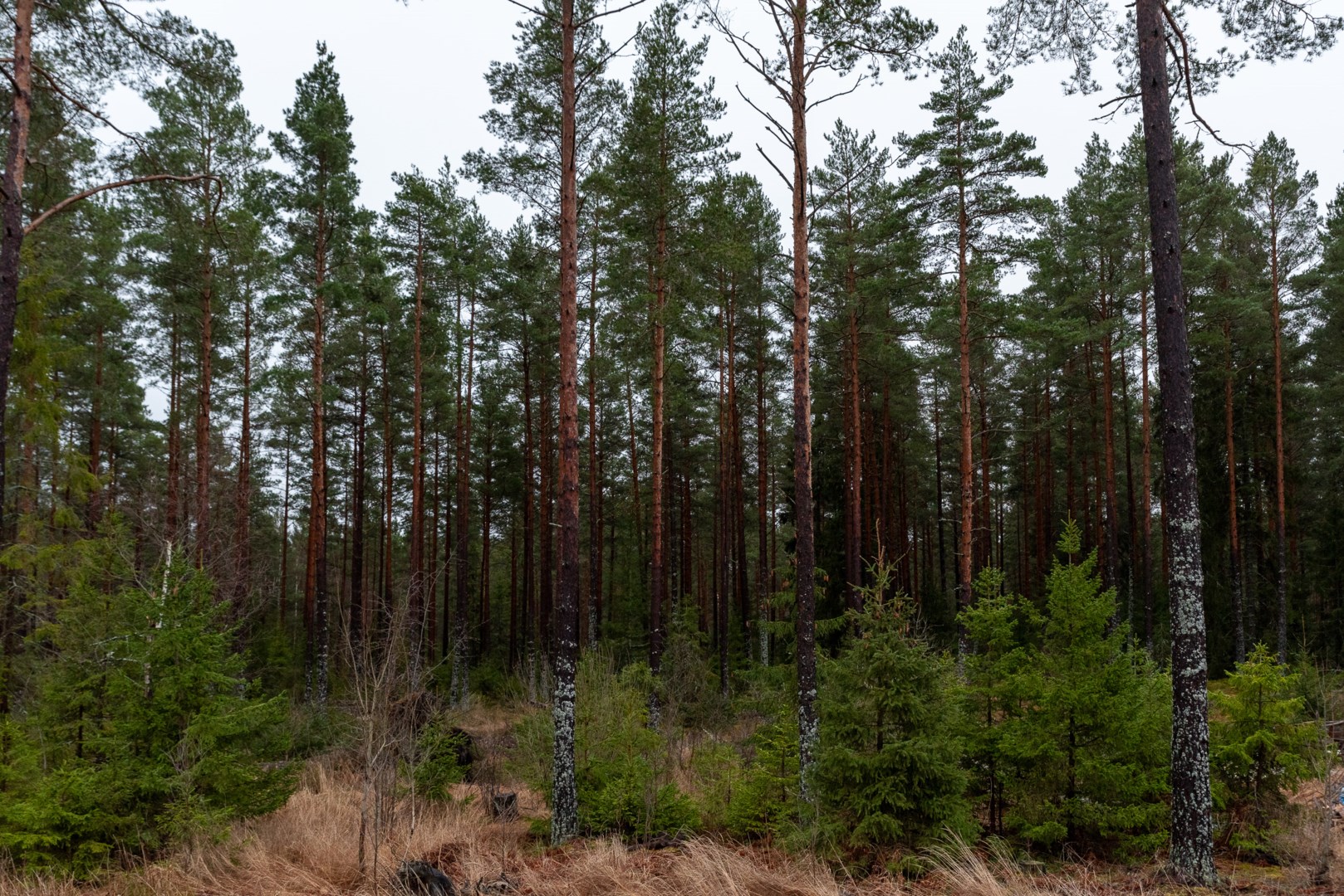 Bostadsbild från Östanbro 25, Såld i Östanbro, Västerås