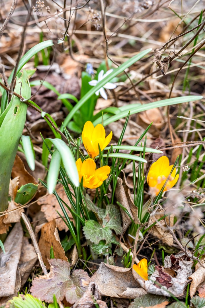 Bostadsbild från Granelidsvägen 53, Såld i Södra Gottsunda, Uppsala