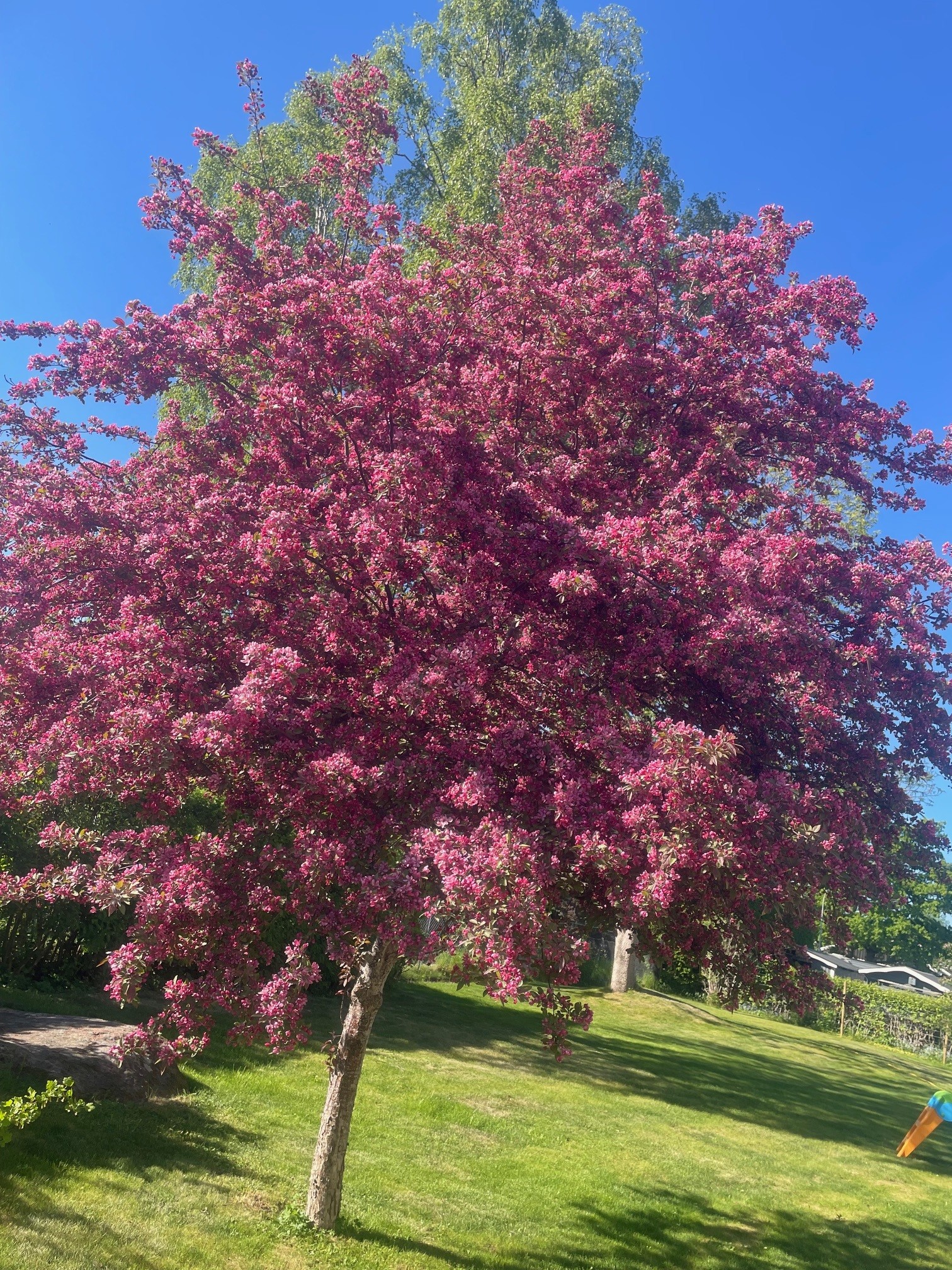 Bostadsbild från Valloxvägen 41, Såld i Knivsta - Centralt, Knivsta