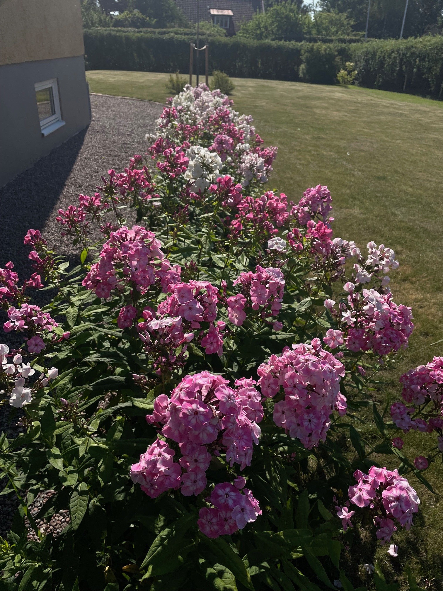 Bostadsbild från Valloxvägen 41, Såld i Knivsta - Centralt, Knivsta