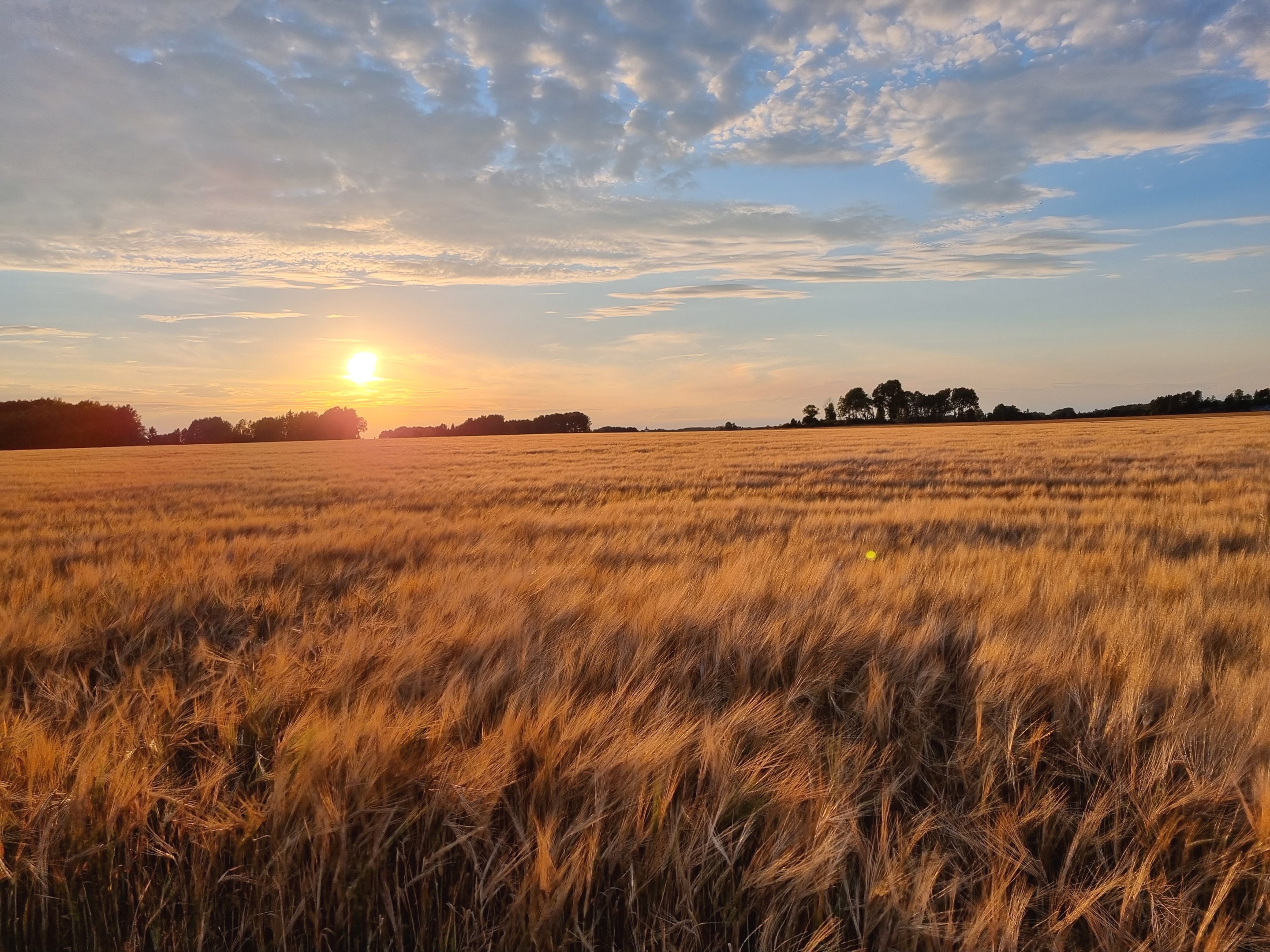 Bostadsbild från Högsta 138, Såld i Lövstalöt, Uppsala