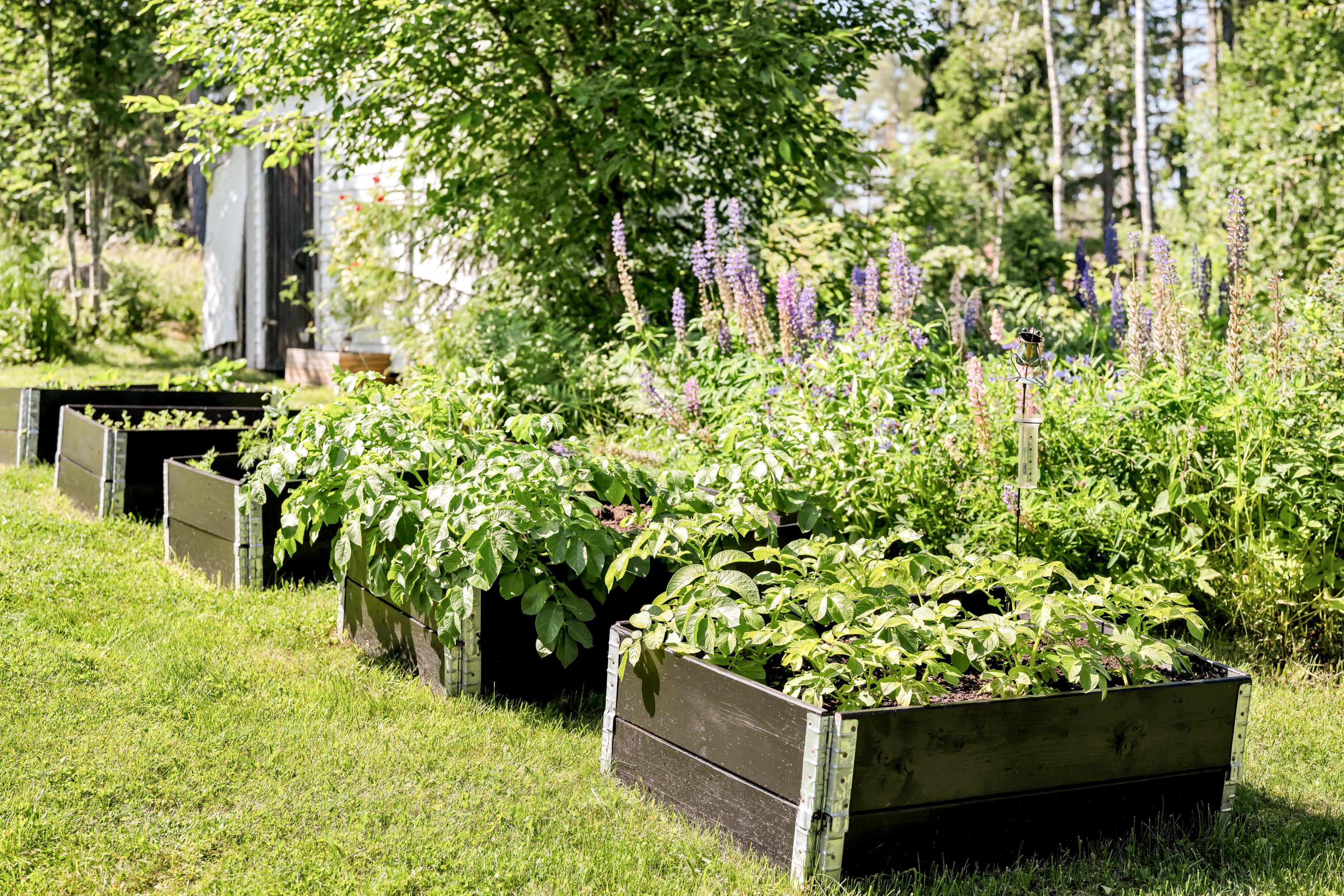 Bostadsbild från Skogsbacken 20, Kommande i Borgarbo, Uppsala
