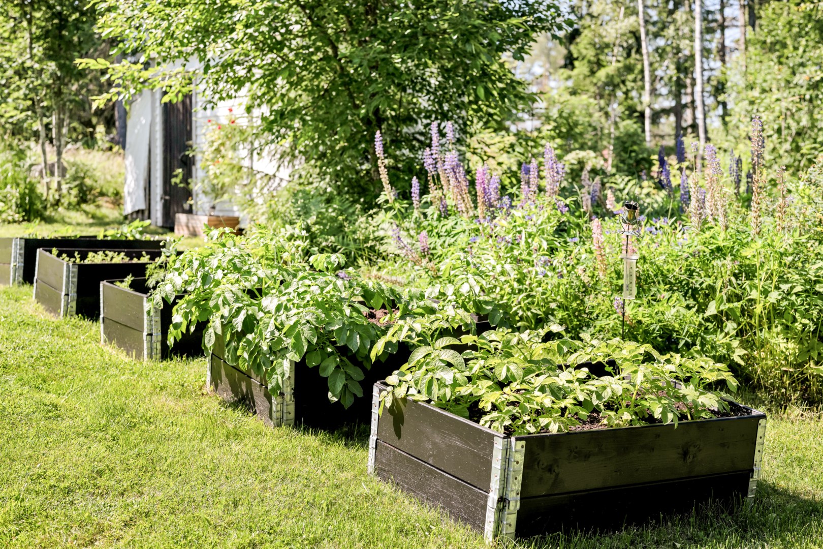 Bostadsbild från Skogsbacken 20, Kommande i Borgarbo, Uppsala