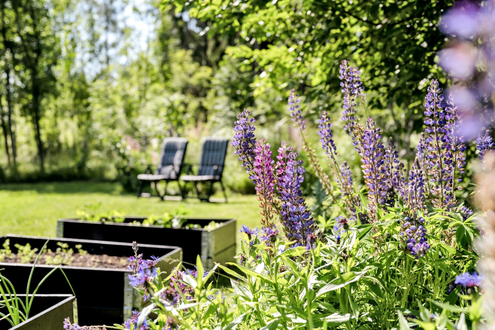 Bostadsbild från Skogsbacken 20, Kommande i Borgarbo, Uppsala