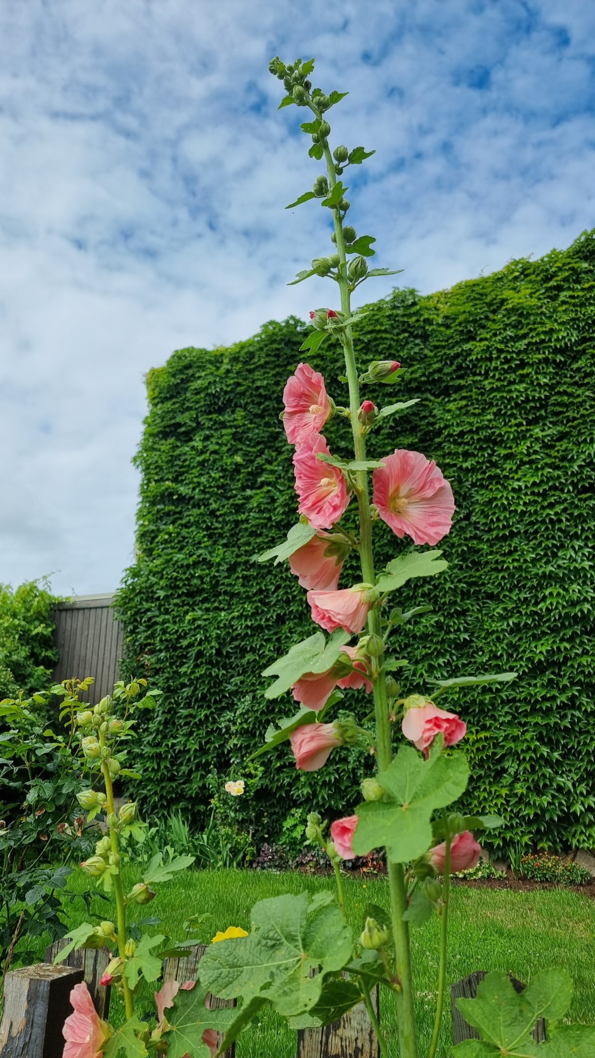 Bostadsbild från Östra Henriksborgsvägen 57, Såld i Saltsjöqvarn, Nacka