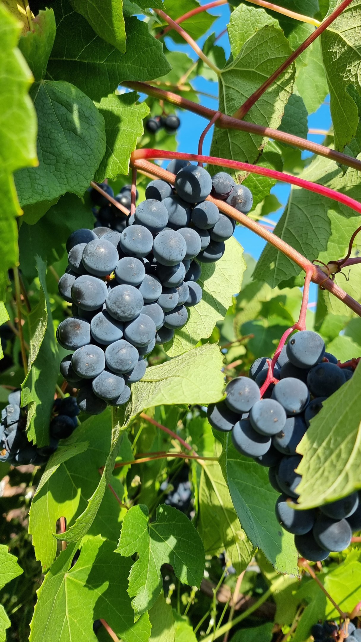 Bostadsbild från Östra Henriksborgsvägen 57, Såld i Saltsjöqvarn, Nacka