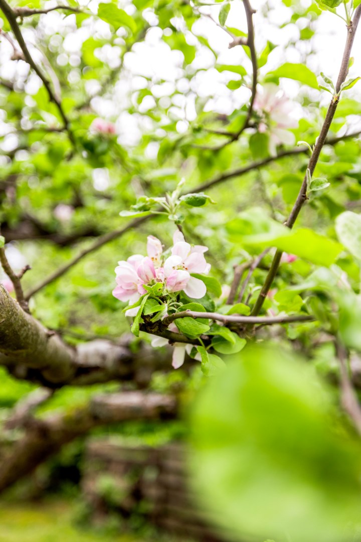Bostadsbild från Pinnmovägen 7, Såld i Storvreta, Uppsala
