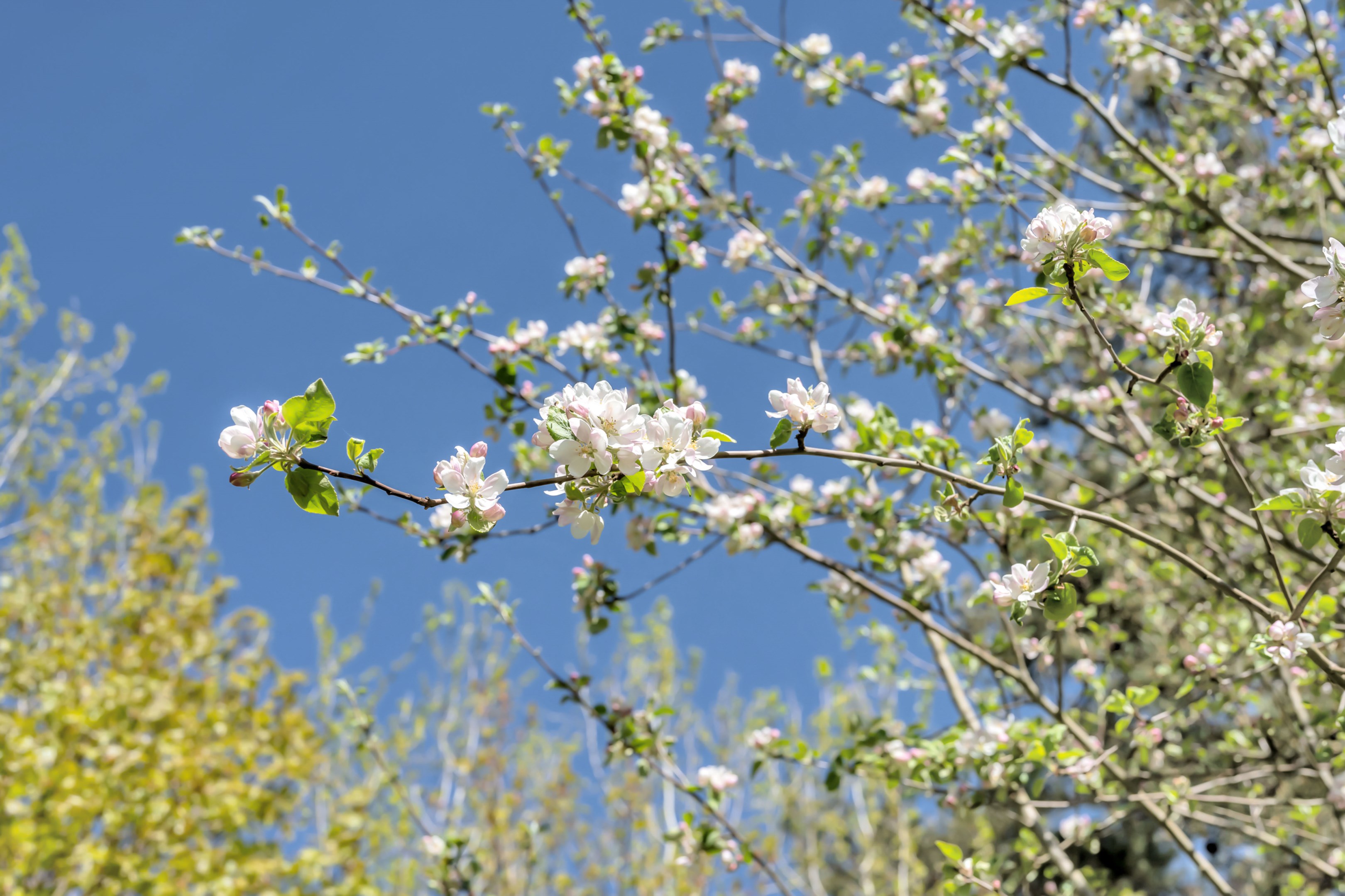 Bostadsbild från Lillinge 121, Såld i Funbo, Uppsala
