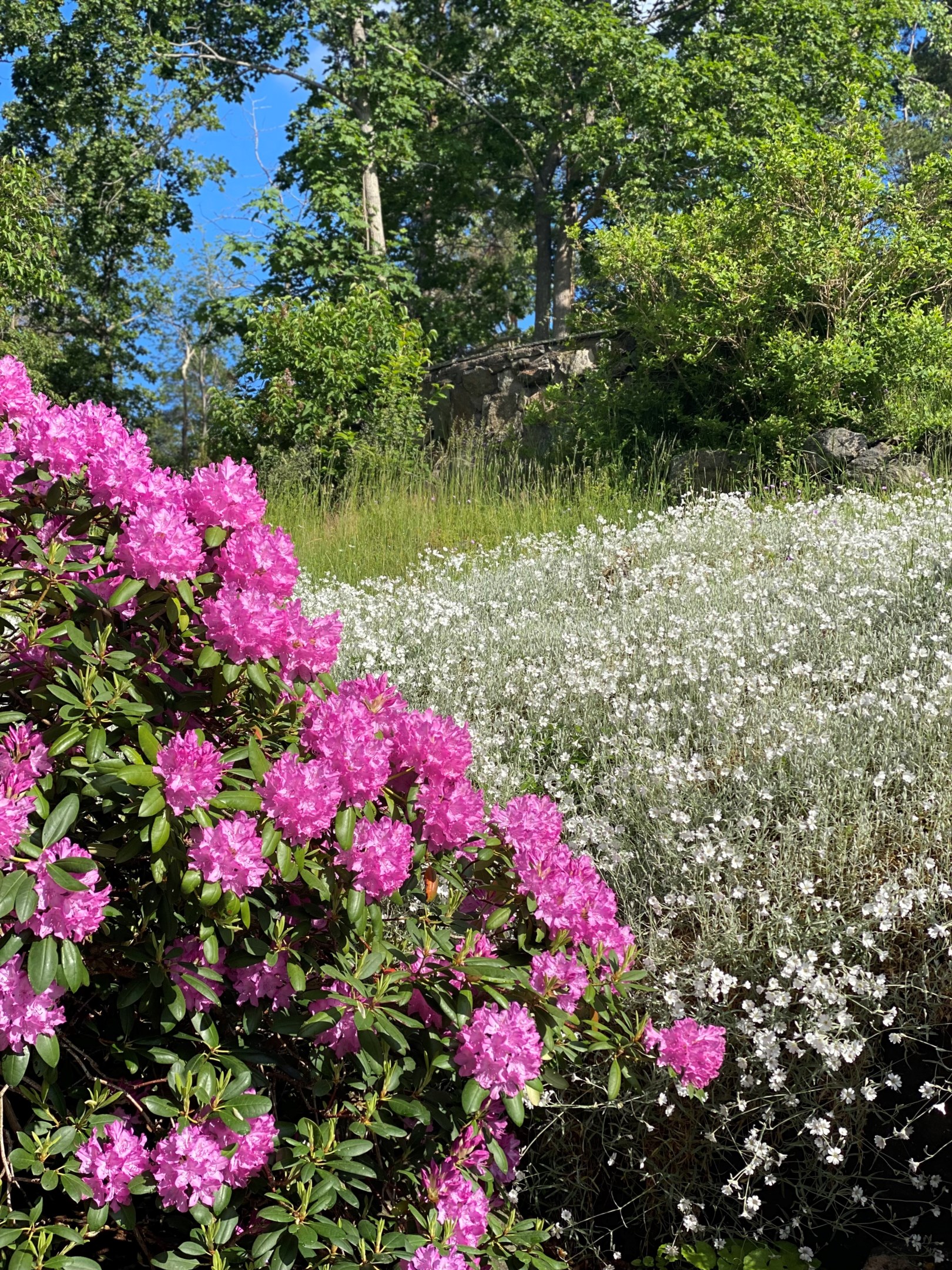 Bostadsbild från Reginavägen 27, Till salu i Saltsjö-Duvnäs, Nacka