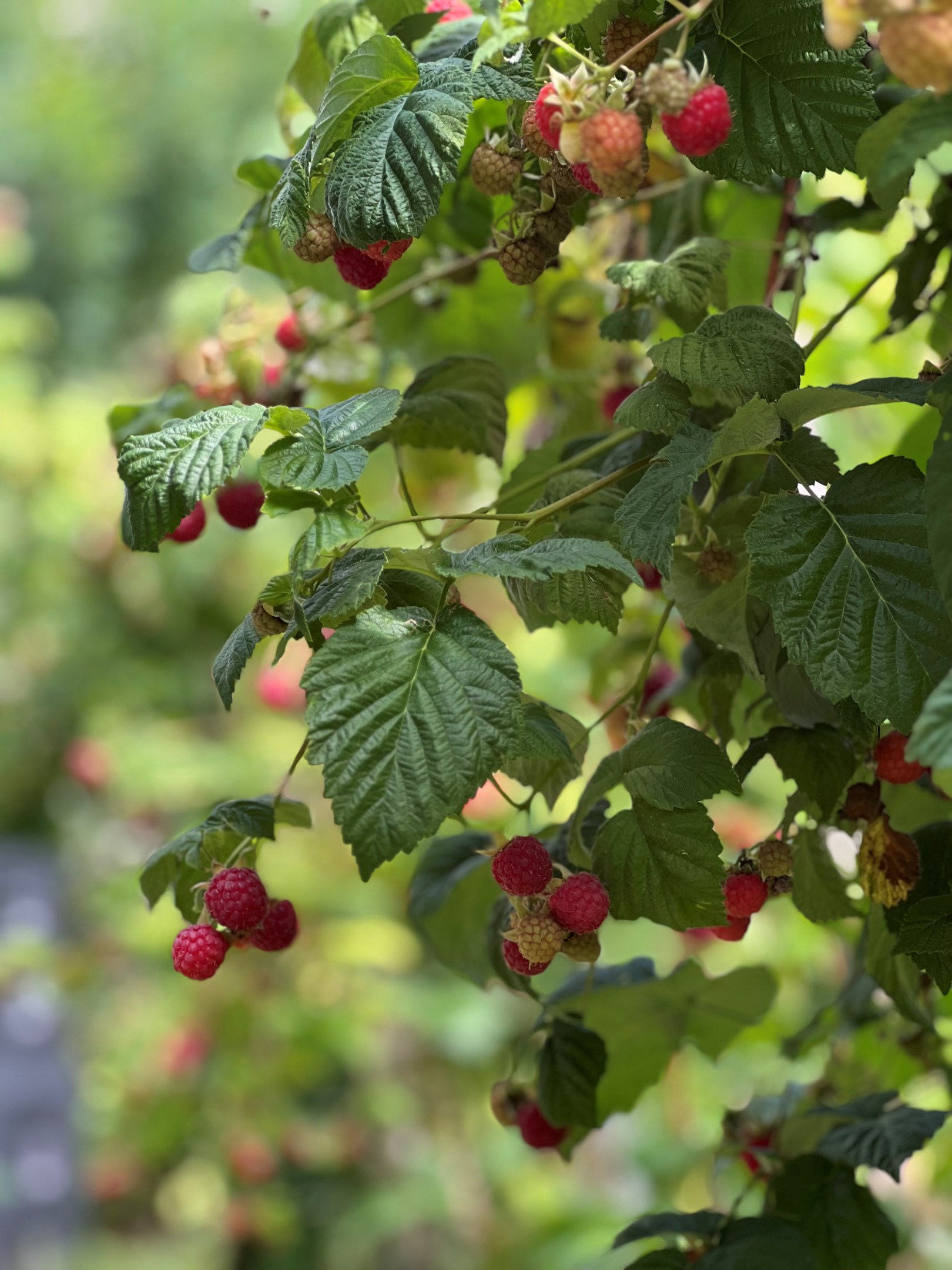 Bostadsbild från Morkullevägen 86, Såld i Sunnersta, Uppsala