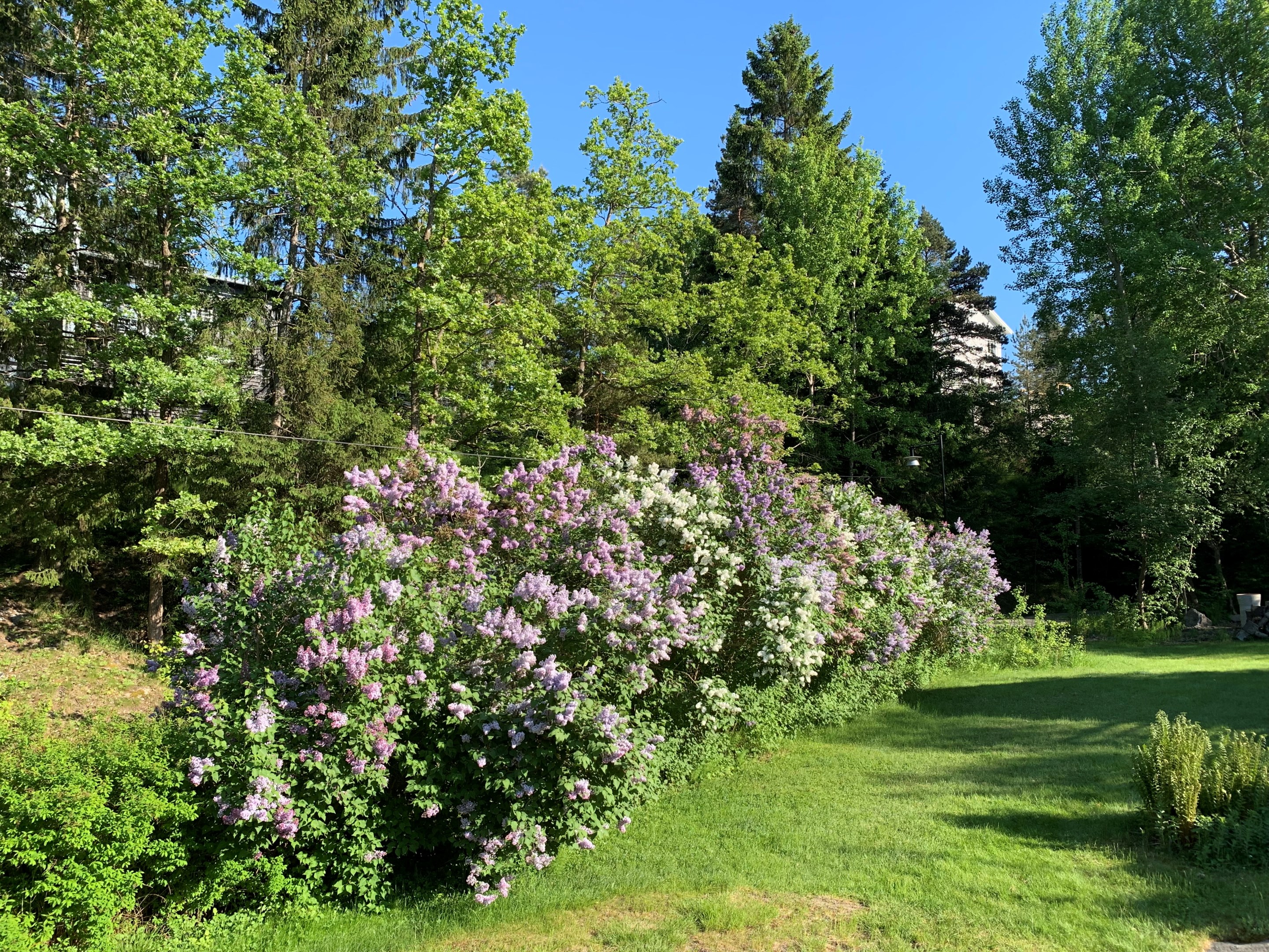 Bostadsbild från Sockenvägen 62, Såld i Södra Lännersta, Nacka