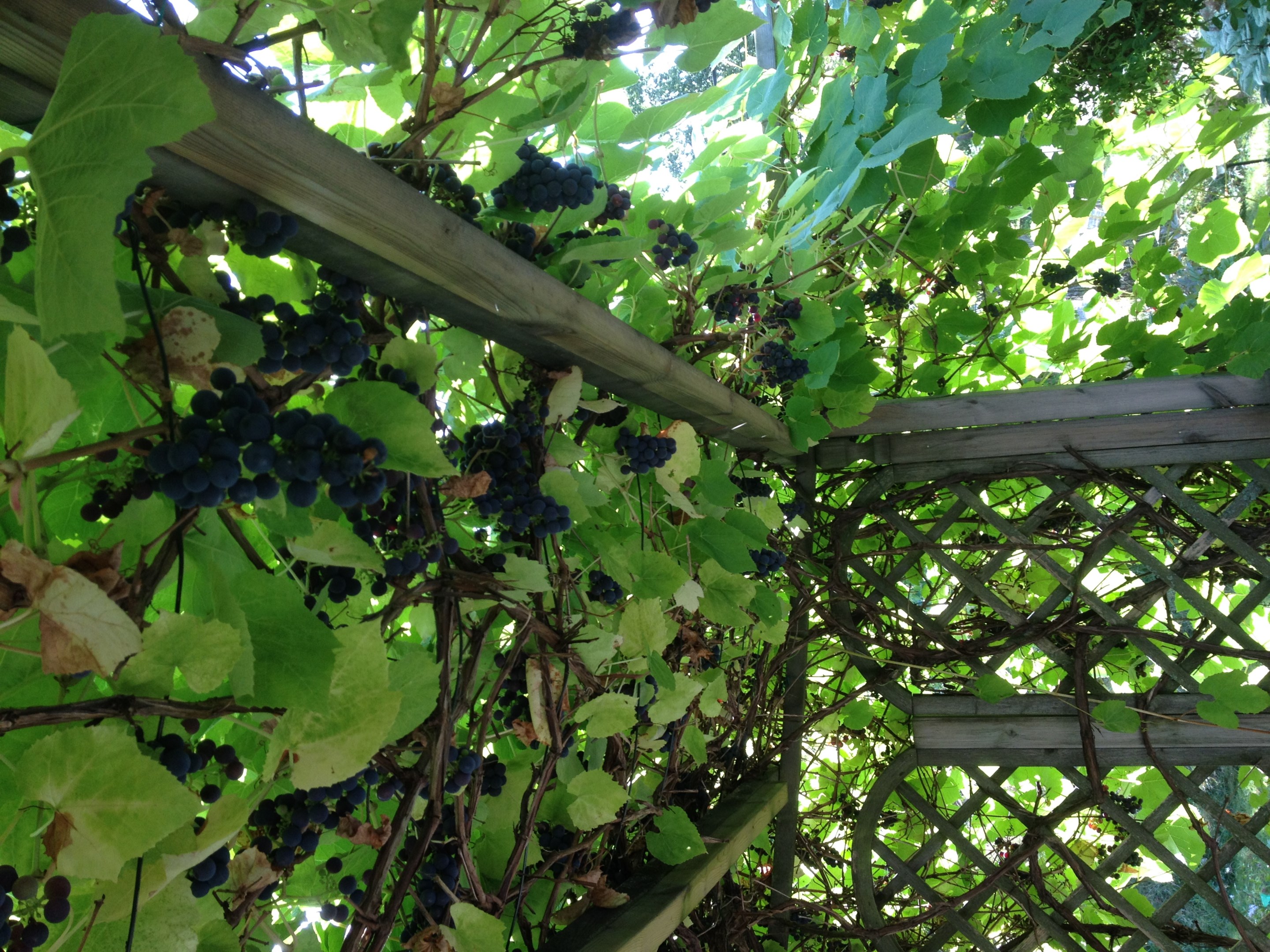 Bostadsbild från Söderled 13, Såld i Gustavsvik, Nacka