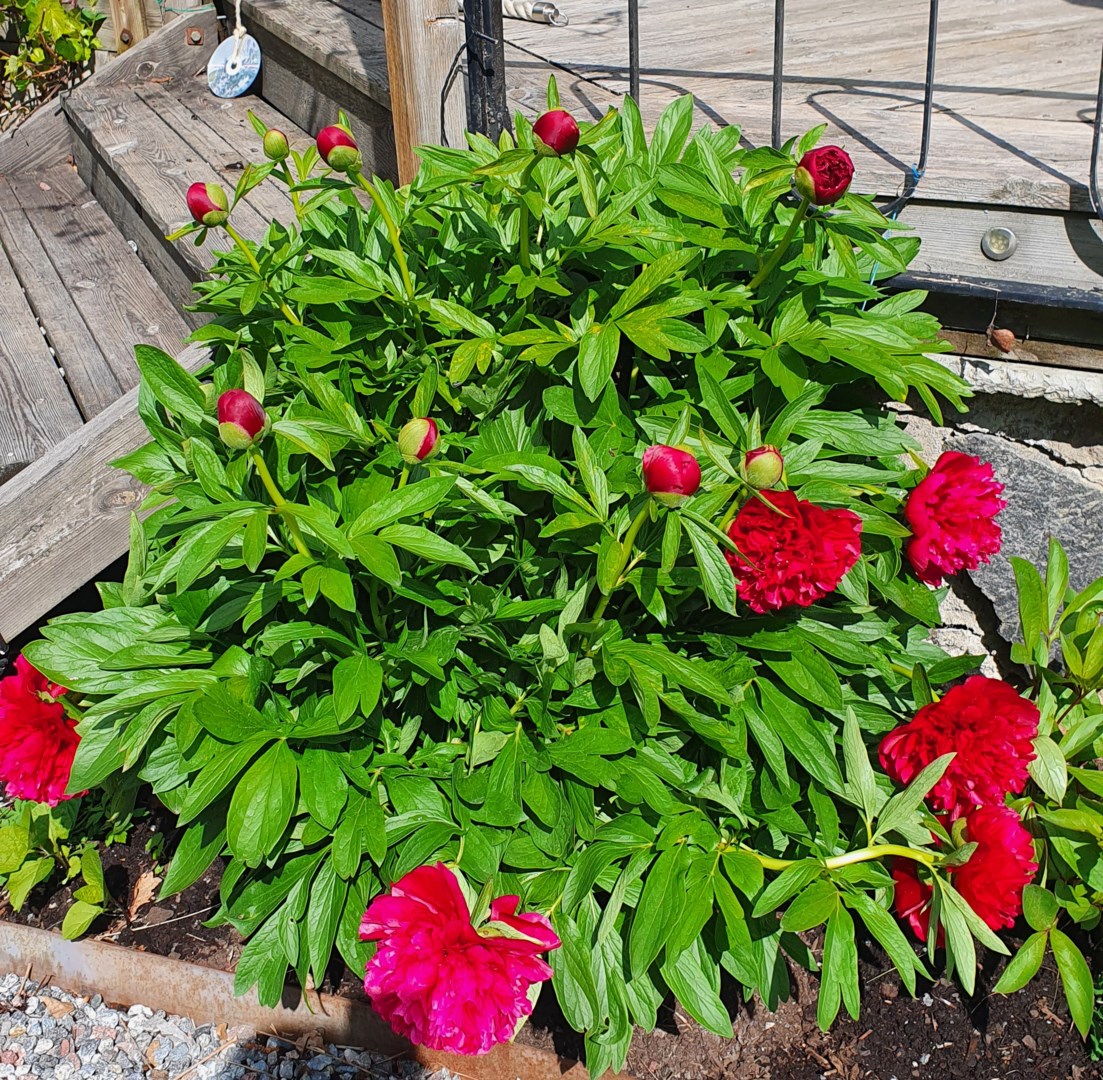 Bostadsbild från Söderled 13, Såld i Gustavsvik, Nacka