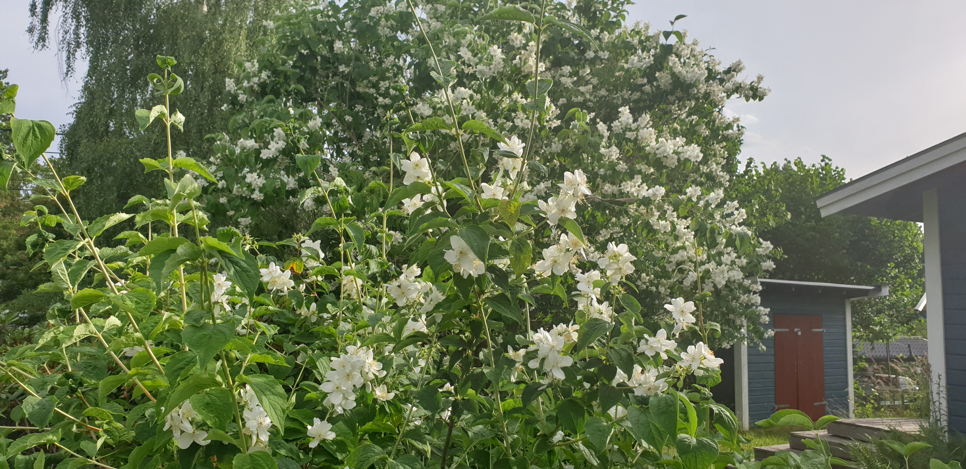Bostadsbild från Söderled 13, Såld i Gustavsvik, Nacka