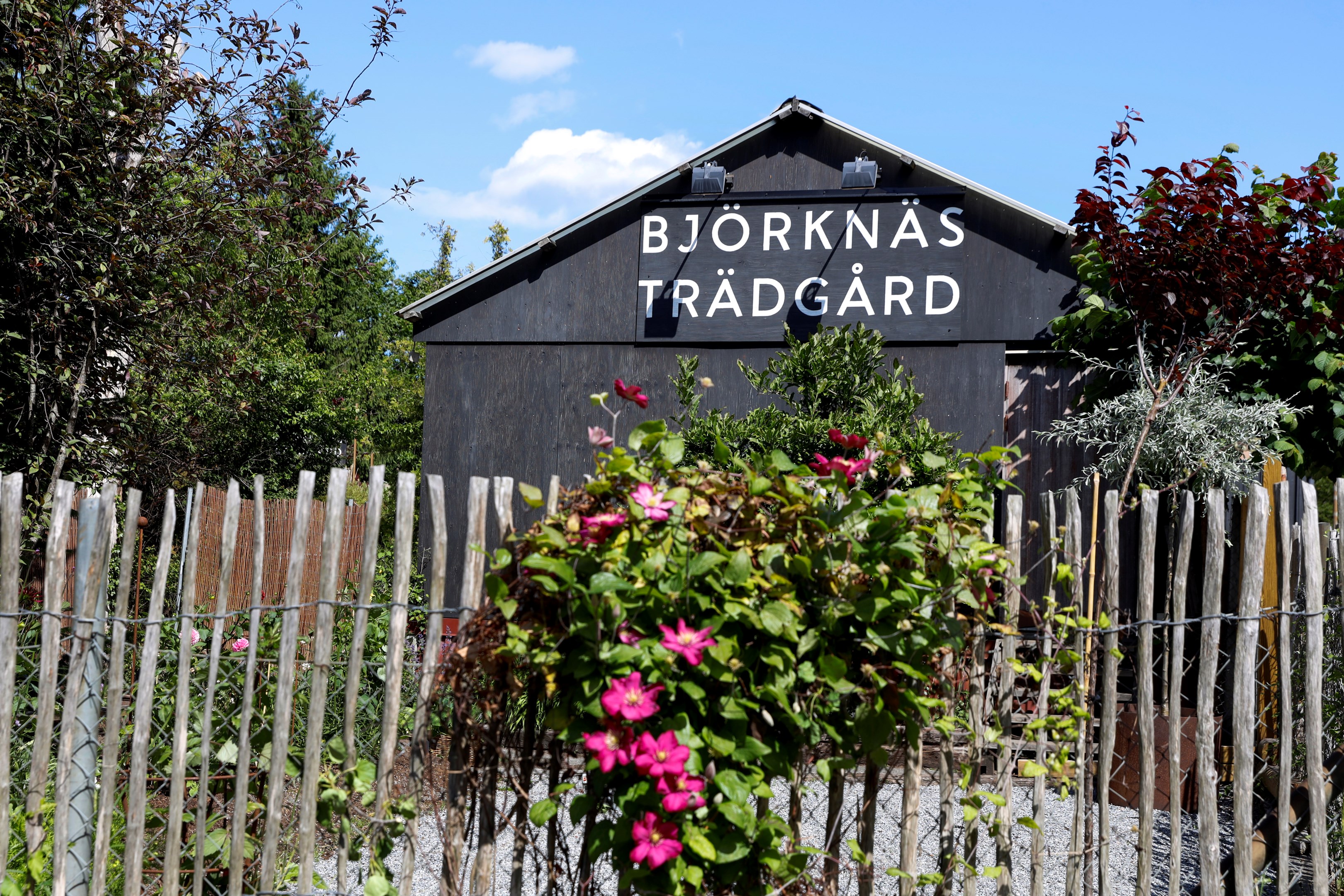 Områdesbild Björknäs trädgård